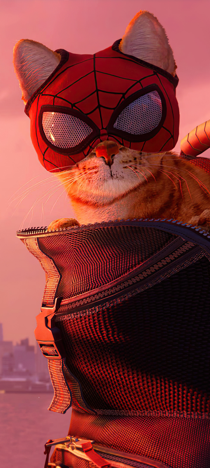 Download mobile wallpaper Cat, Video Game, Marvel's Spider Man: Miles Morales for free.