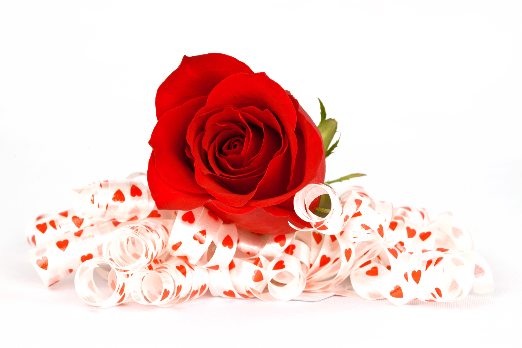 Скачать обои бесплатно Любовь, Роза, Лента, Сердце, Красная Роза, Художественные картинка на рабочий стол ПК