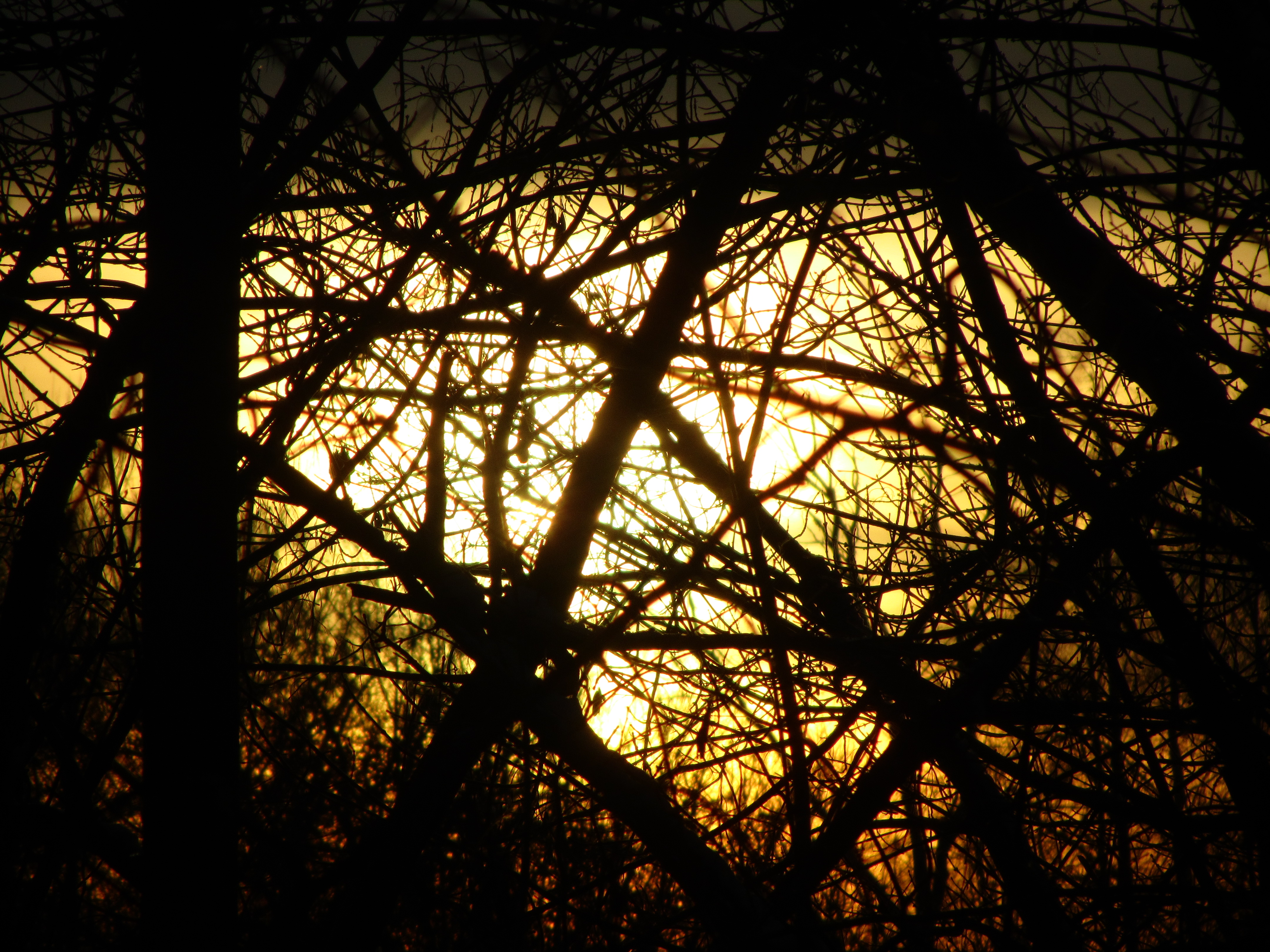 Téléchargez des papiers peints mobile Coucher De Soleil, Terre/nature gratuitement.