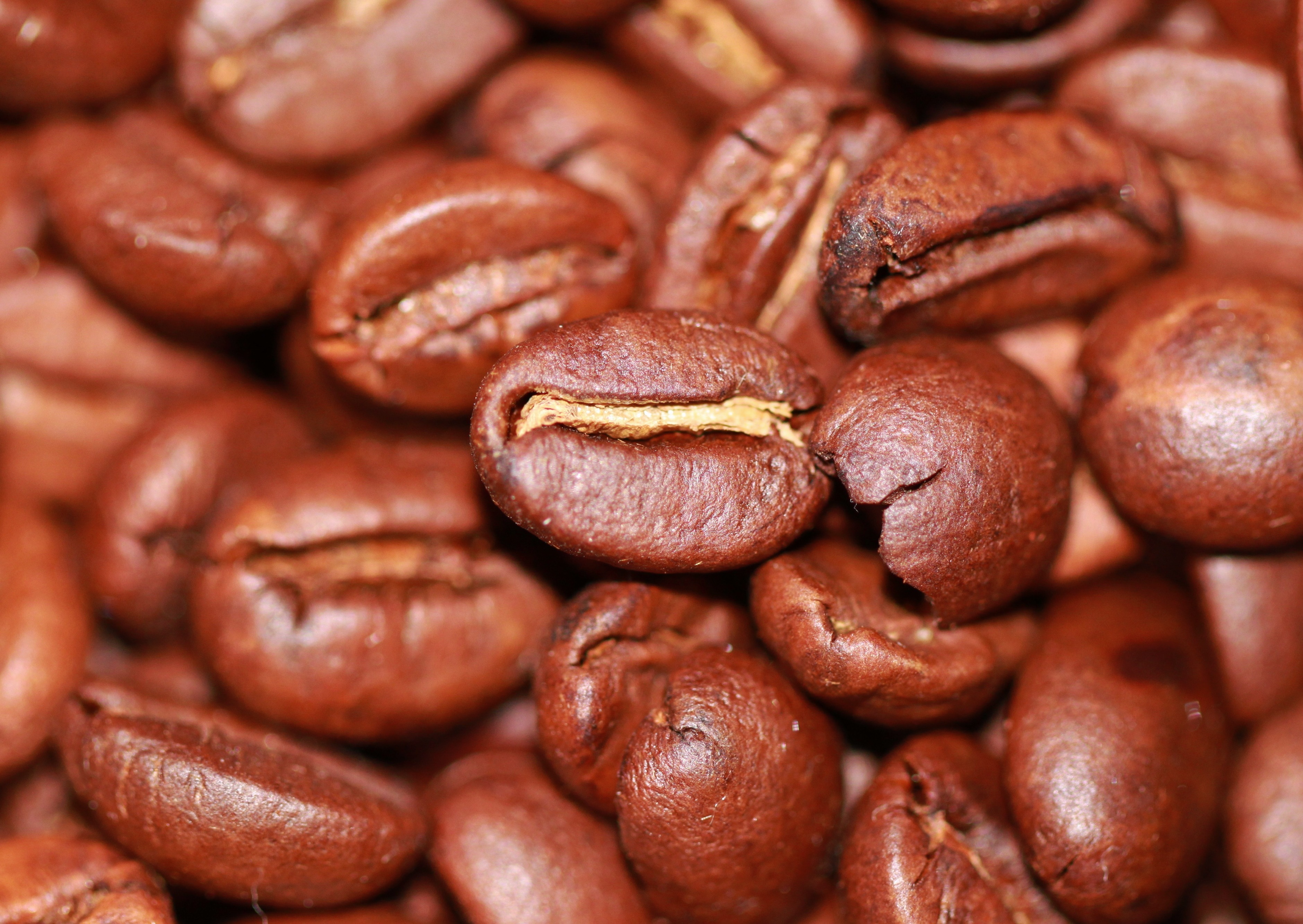 Laden Sie das Coffee, Kaffeebohnen, Makro-Bild kostenlos auf Ihren PC-Desktop herunter
