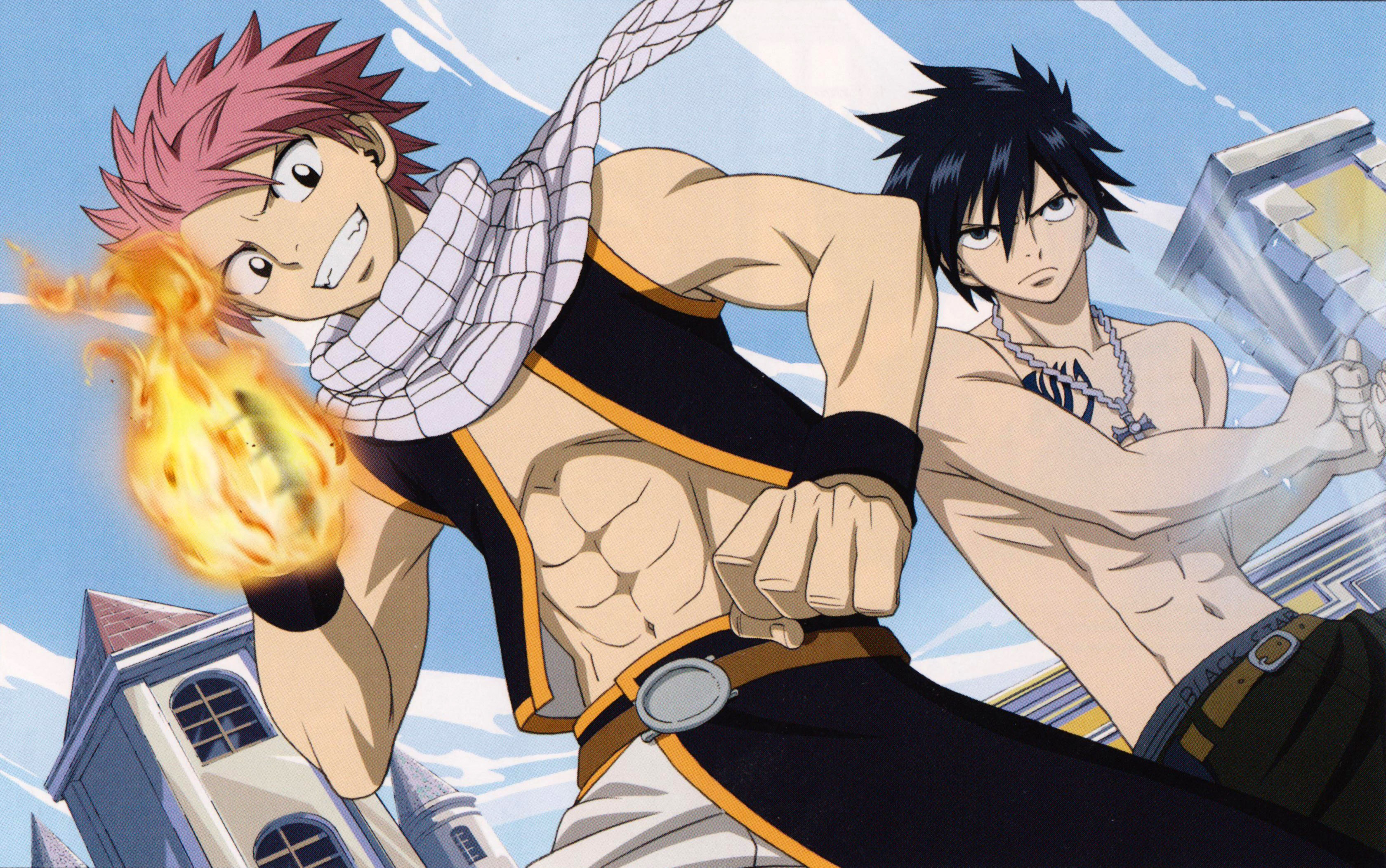 Download mobile wallpaper Anime, Fairy Tail, Natsu Dragneel, Gray Fullbuster for free.