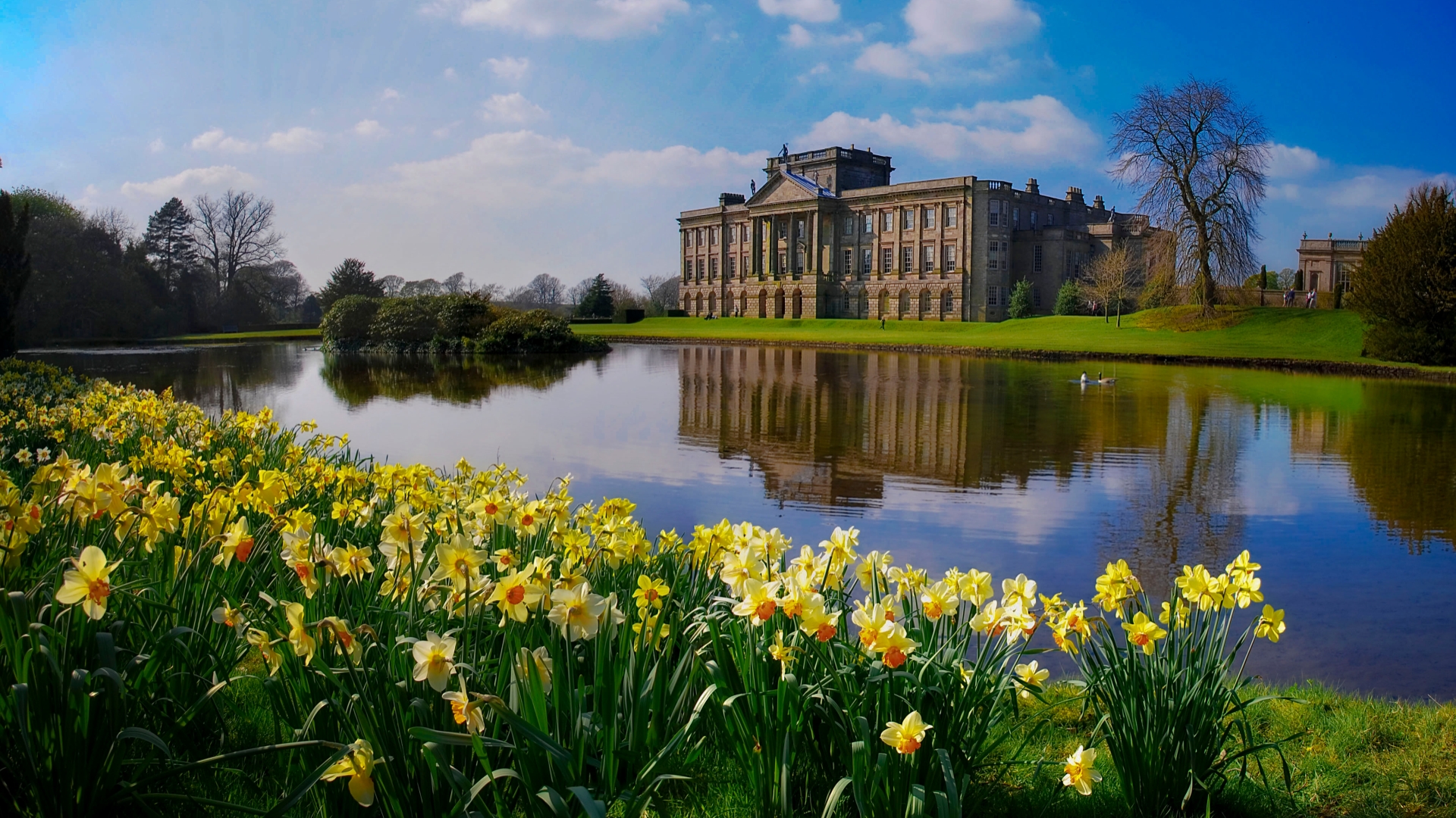 man made, lyme park wallpapers for tablet