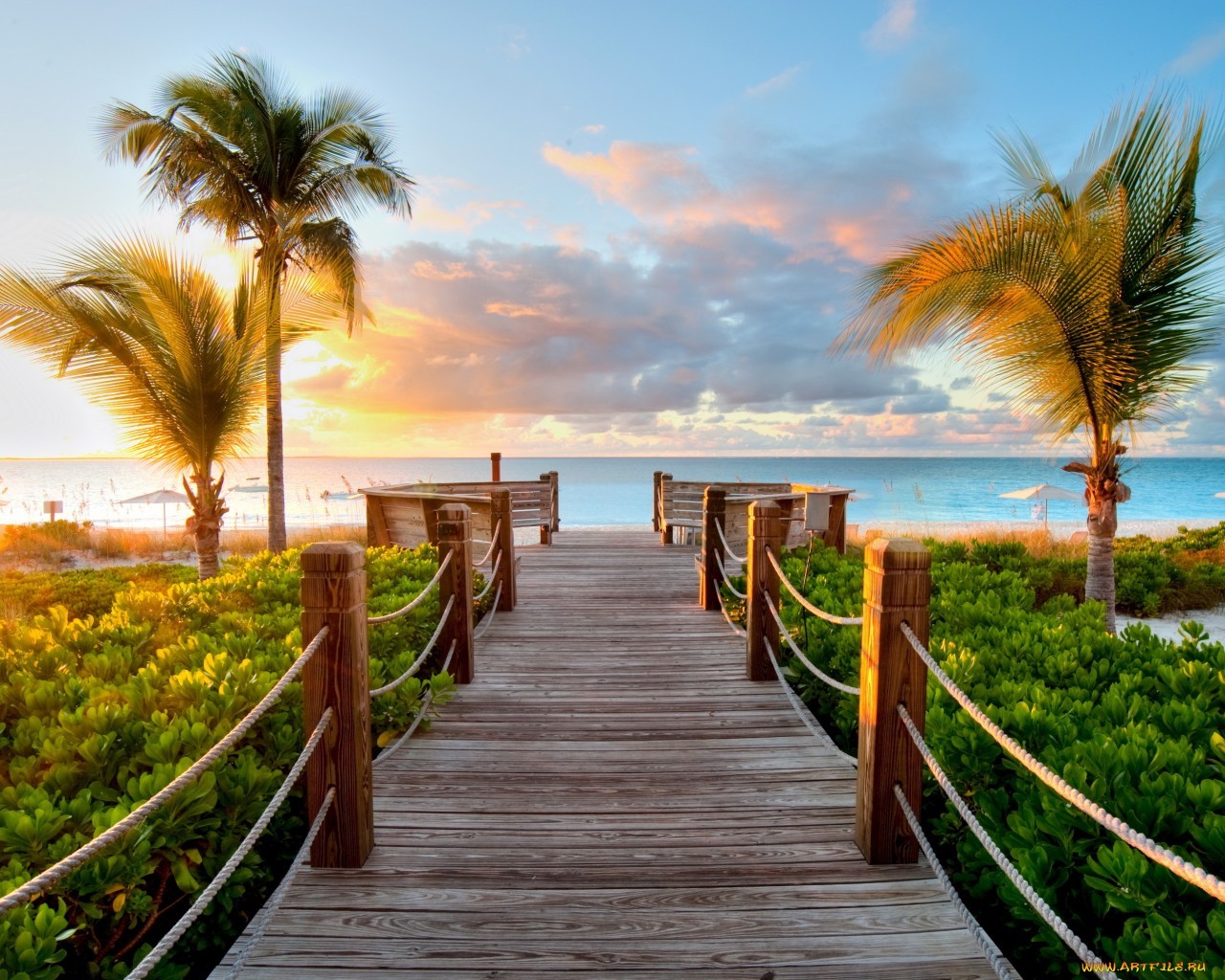 palms, sea, beach, landscape, sunset