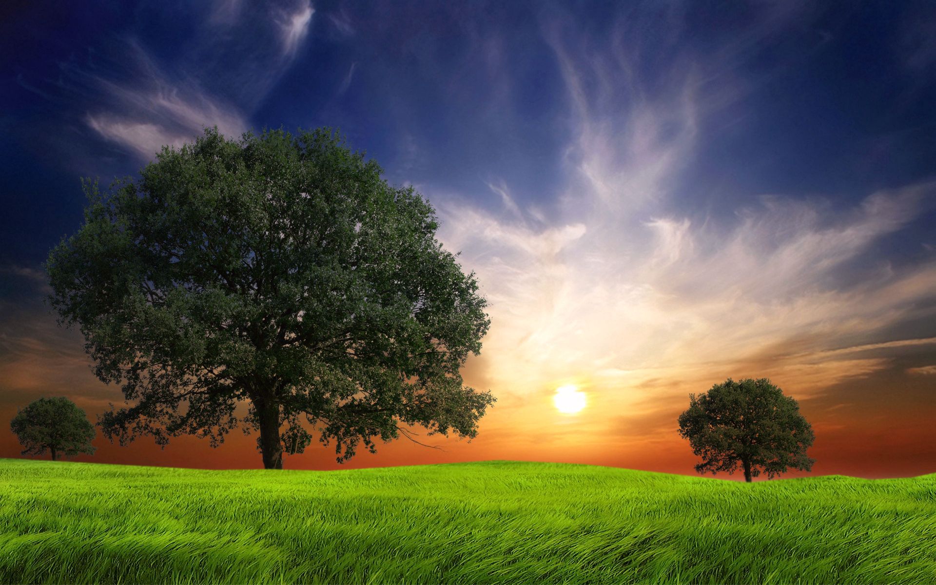 Laden Sie das Bäume, Grass, Abend, Natur, Wind, Feld-Bild kostenlos auf Ihren PC-Desktop herunter