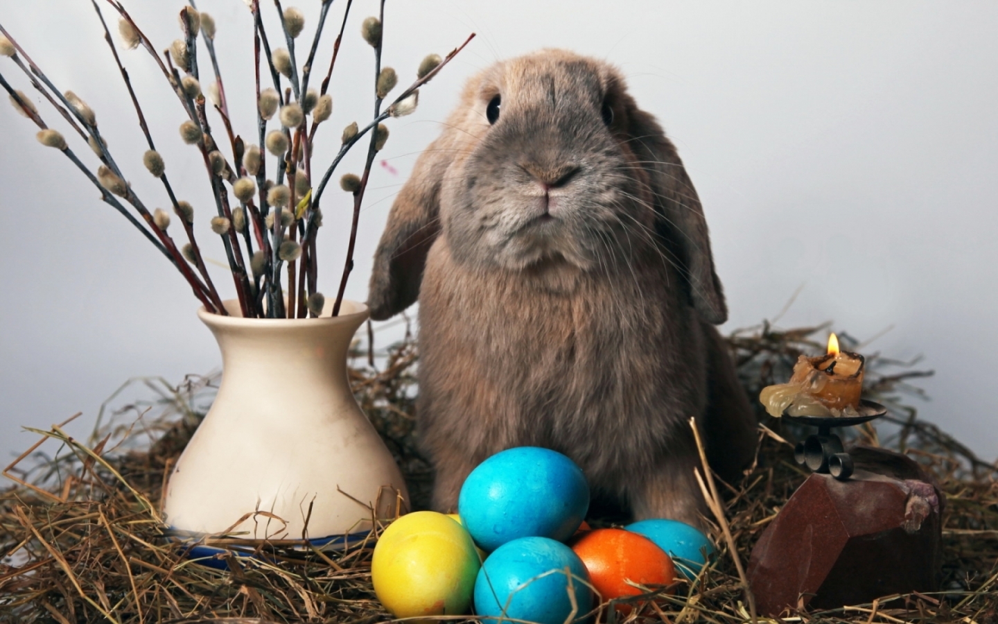 animals, holidays, rabbits Desktop Wallpaper