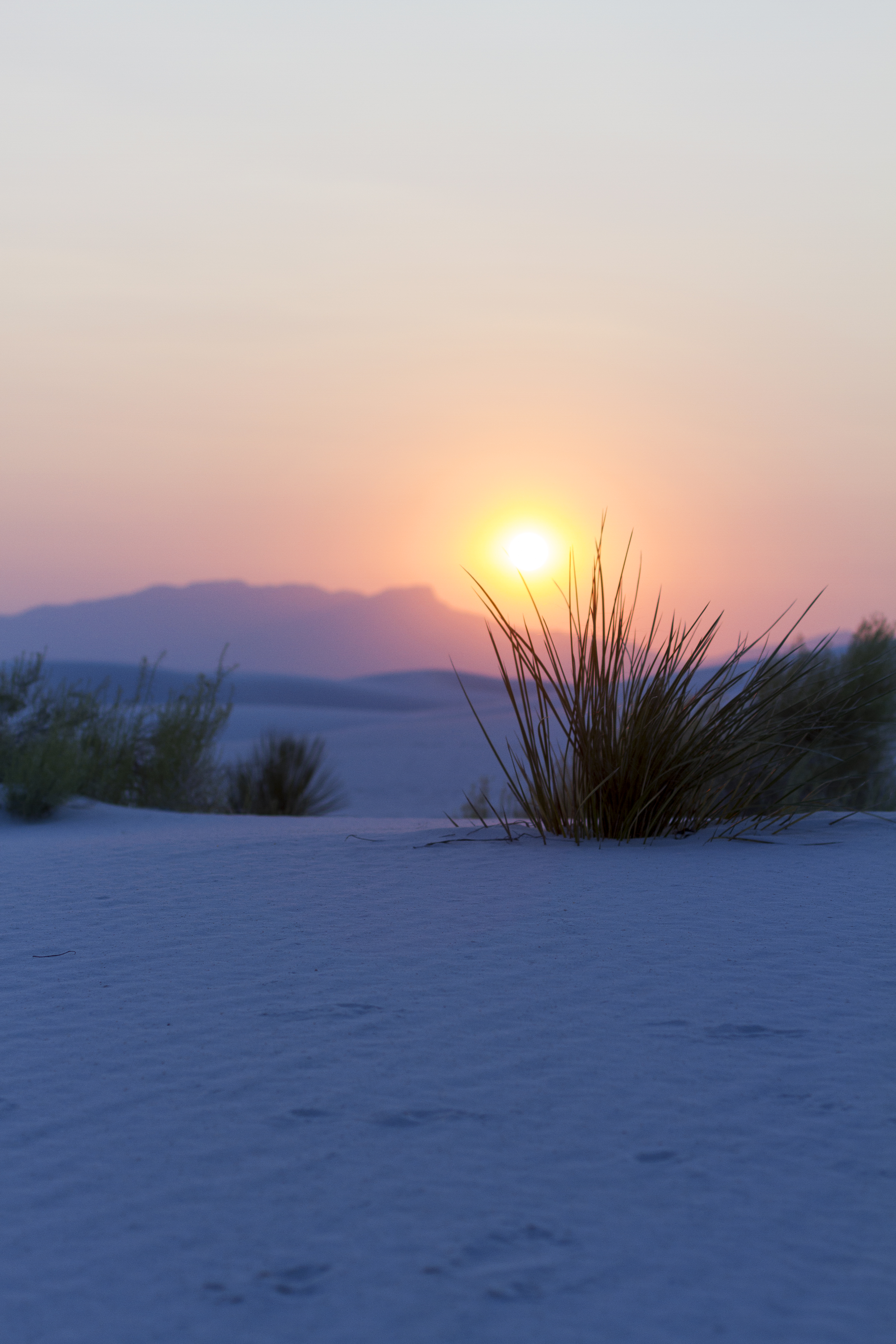 Free download wallpaper Bush, Mountains, Snow, Nature, Sunset, Landscape on your PC desktop