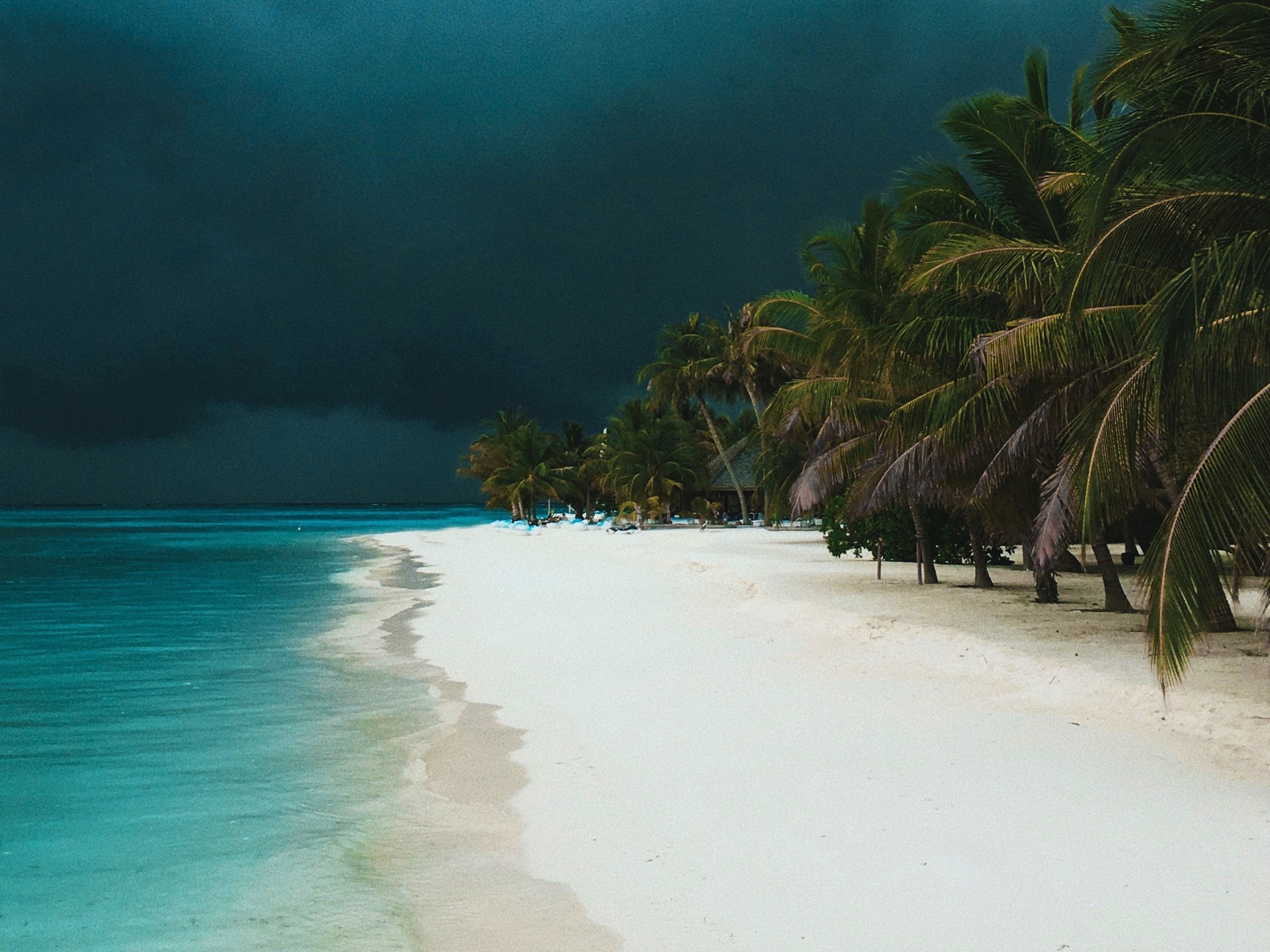 Free download wallpaper Beach, Earth, Storm, Tropical, Cloud, Photography, Palm Tree on your PC desktop