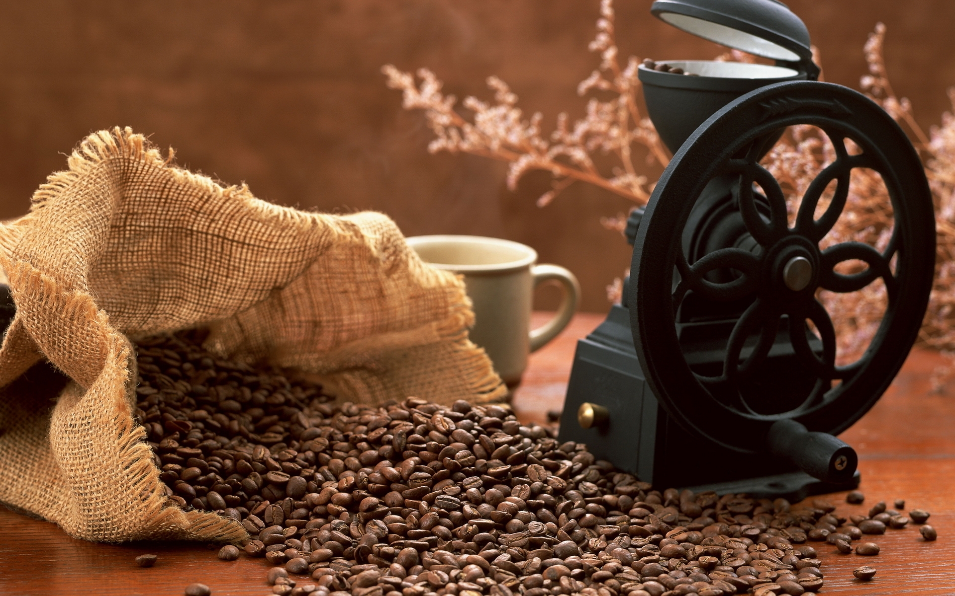 Laden Sie das Nahrungsmittel, Kaffee-Bild kostenlos auf Ihren PC-Desktop herunter