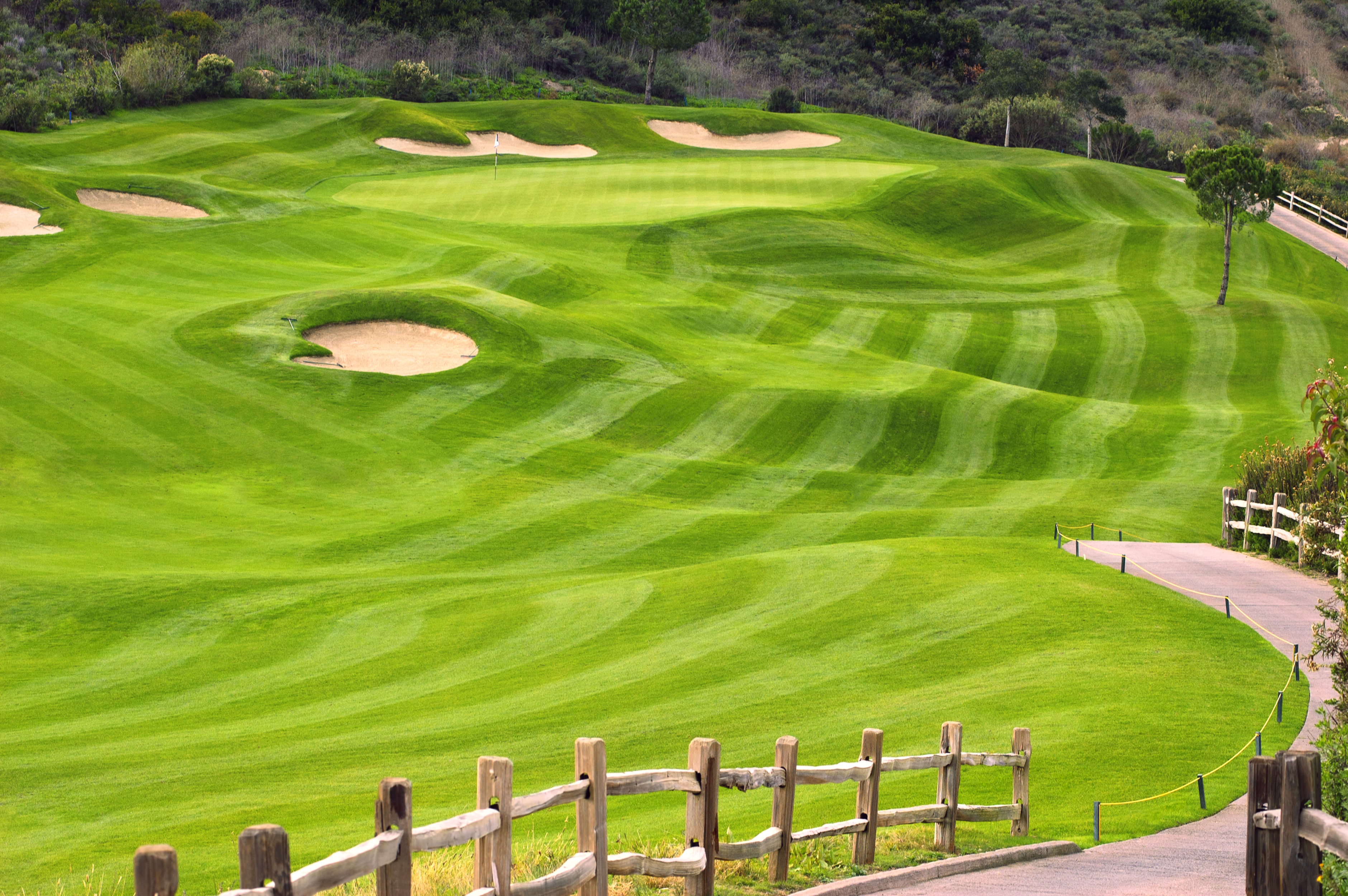 golf course, golf, man made, grass
