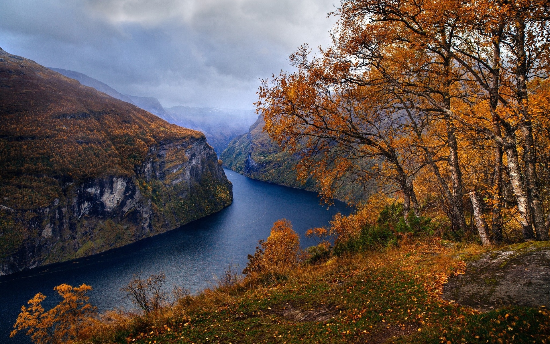 798731 скачать обои осень, земля/природа, фьорд, гора, дерево - заставки и картинки бесплатно