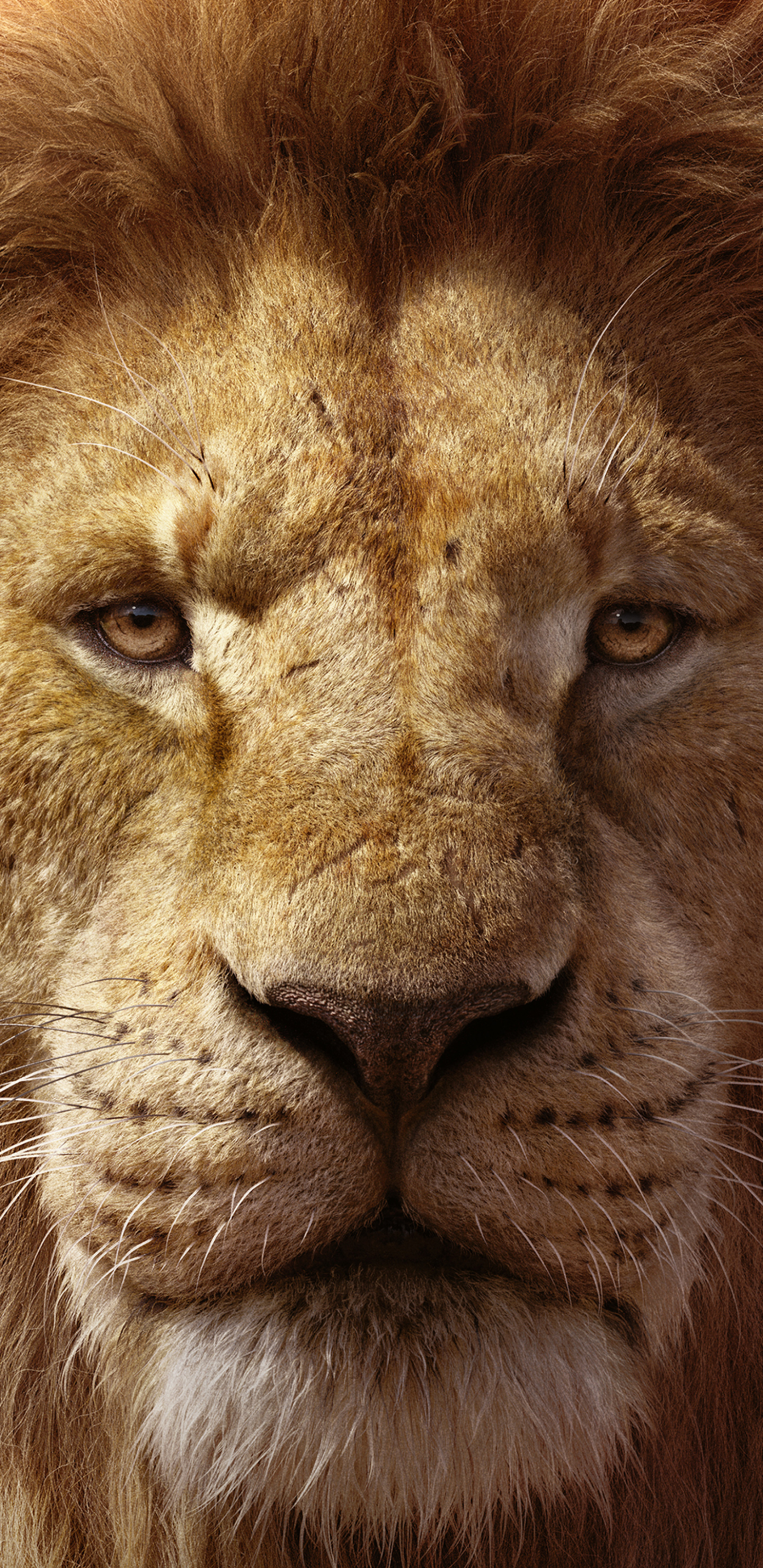 Téléchargez des papiers peints mobile Film, Simba, Le Roi Lion (2019) gratuitement.