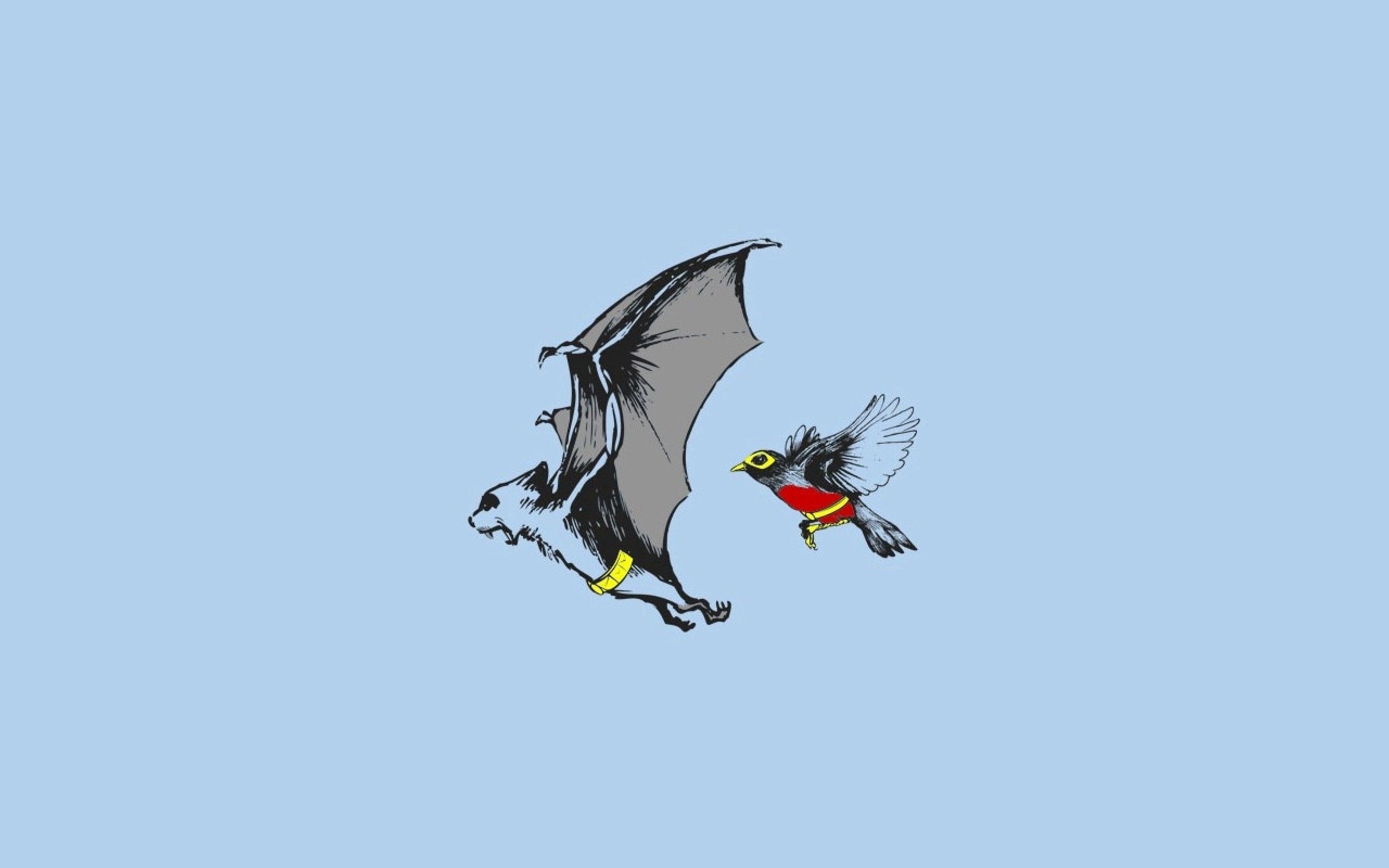 149714 скачать обои летучая мышь, вектор, птица, полет, взмах - заставки и картинки бесплатно
