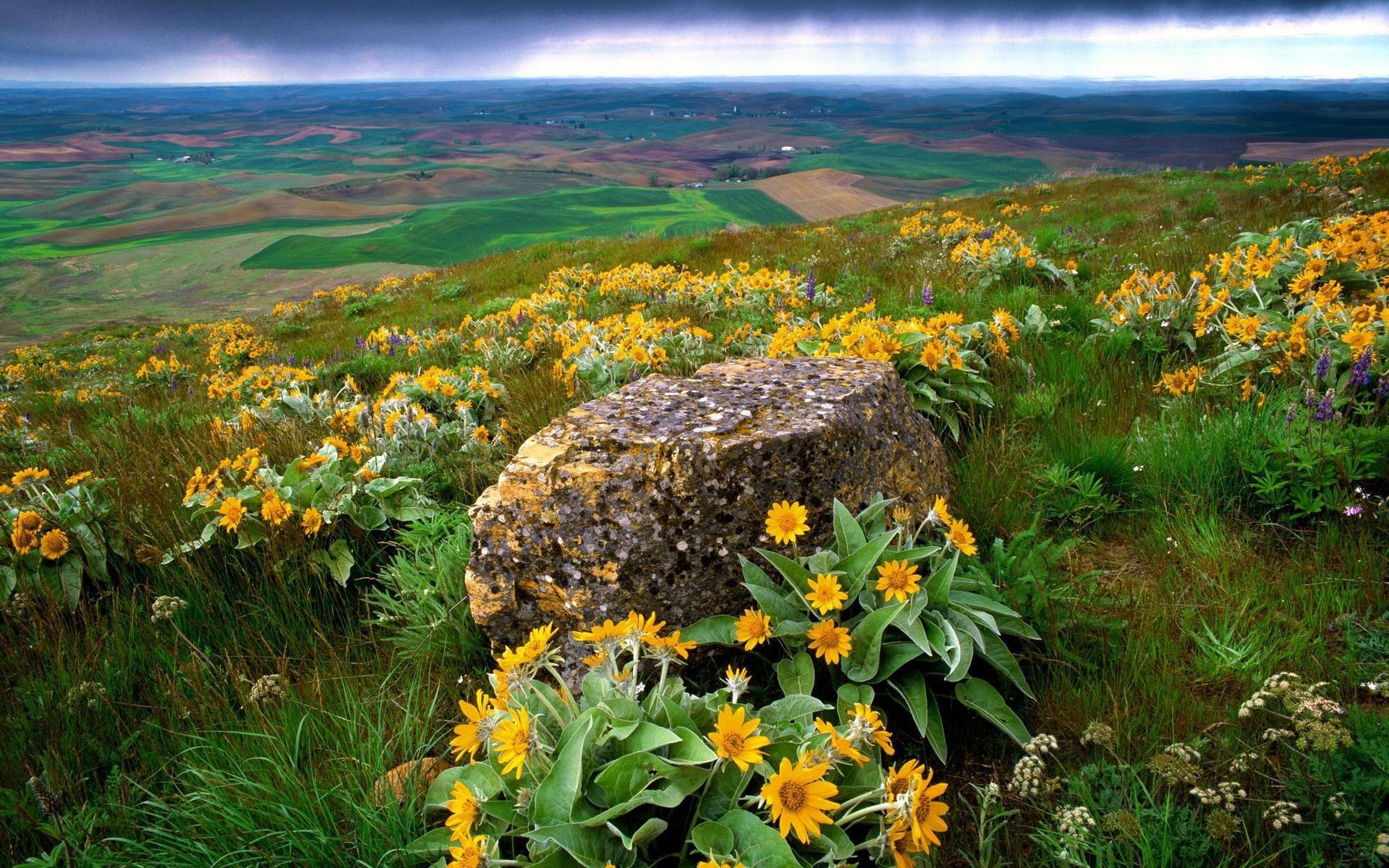 Handy-Wallpaper Landschaft, Erde/natur kostenlos herunterladen.