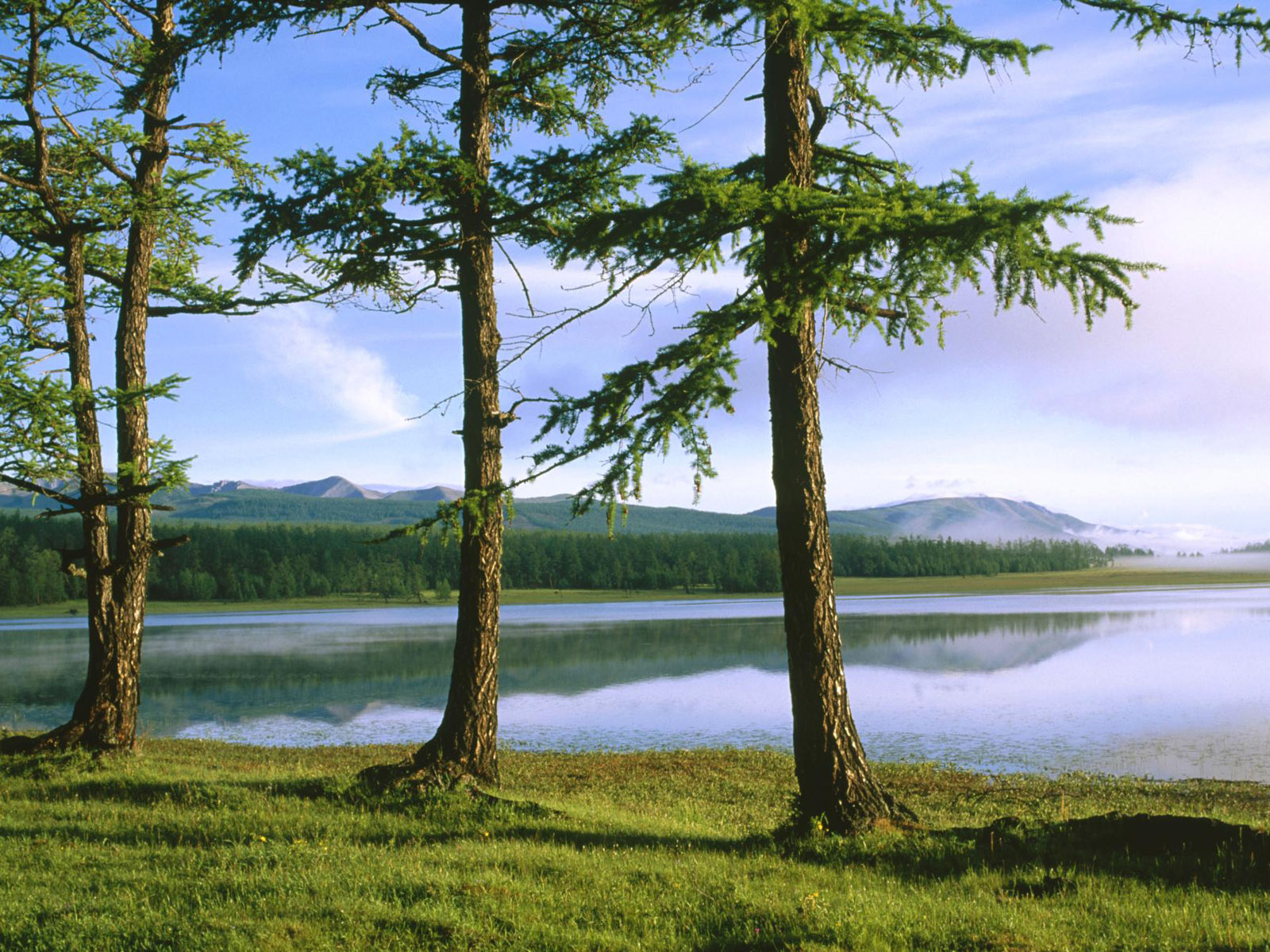 Скачать обои бесплатно Пейзаж, Гора, Озеро, Дерево, Земля/природа картинка на рабочий стол ПК