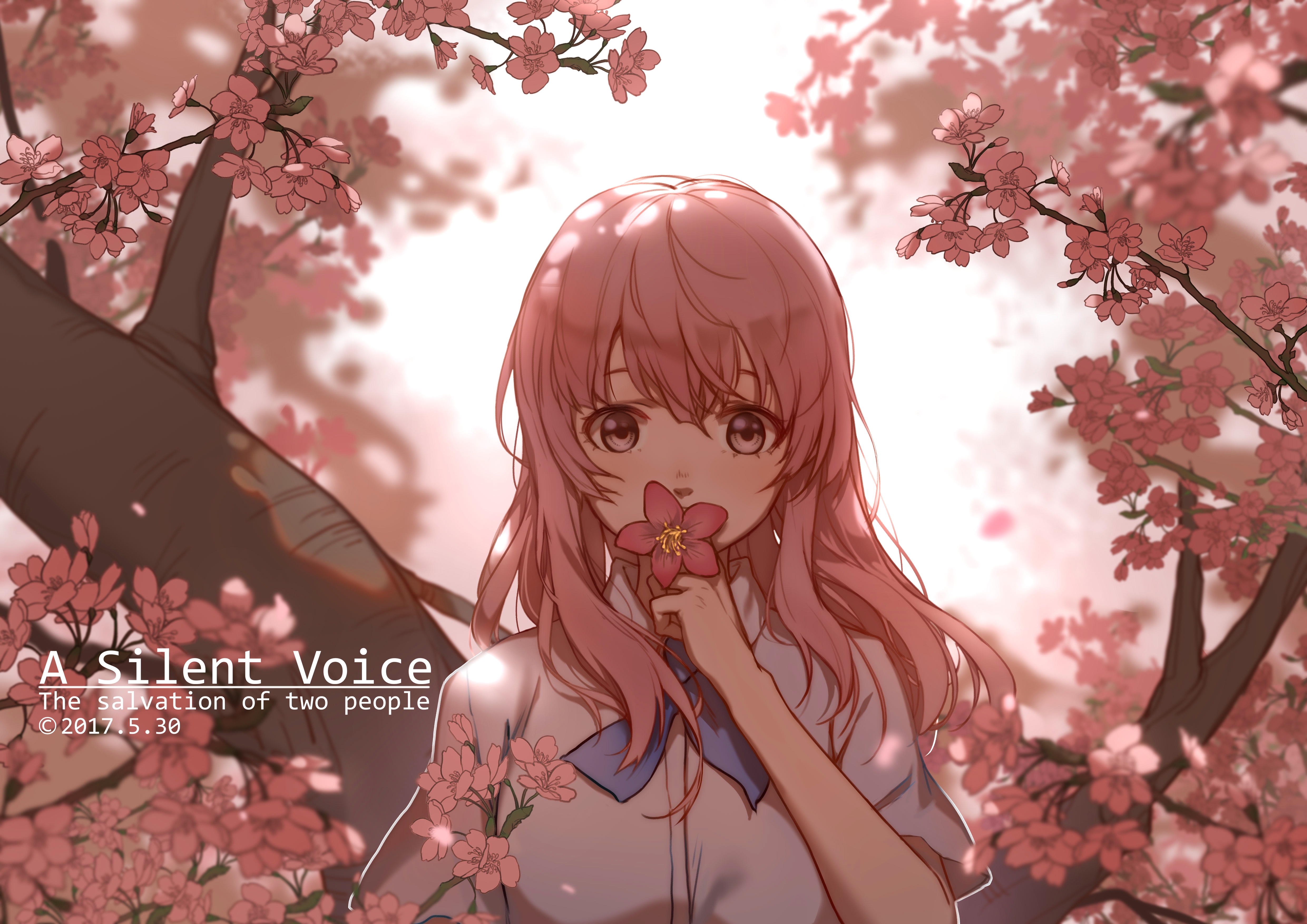 854956壁紙のダウンロードアニメ, 声のカタチ, 桜の花, ピンクの髪, 西宮翔子-スクリーンセーバーと写真を無料で