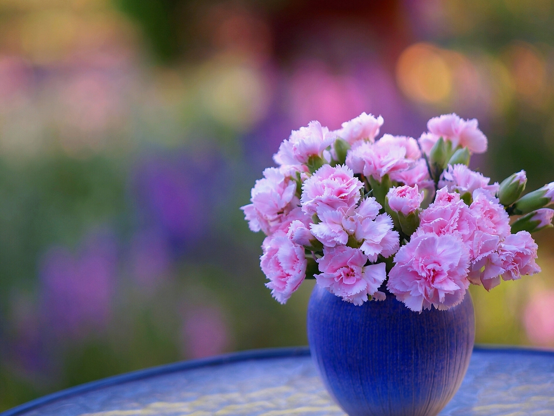Free download wallpaper Flower, Vase, Bokeh, Carnation, Man Made, Pink Flower on your PC desktop