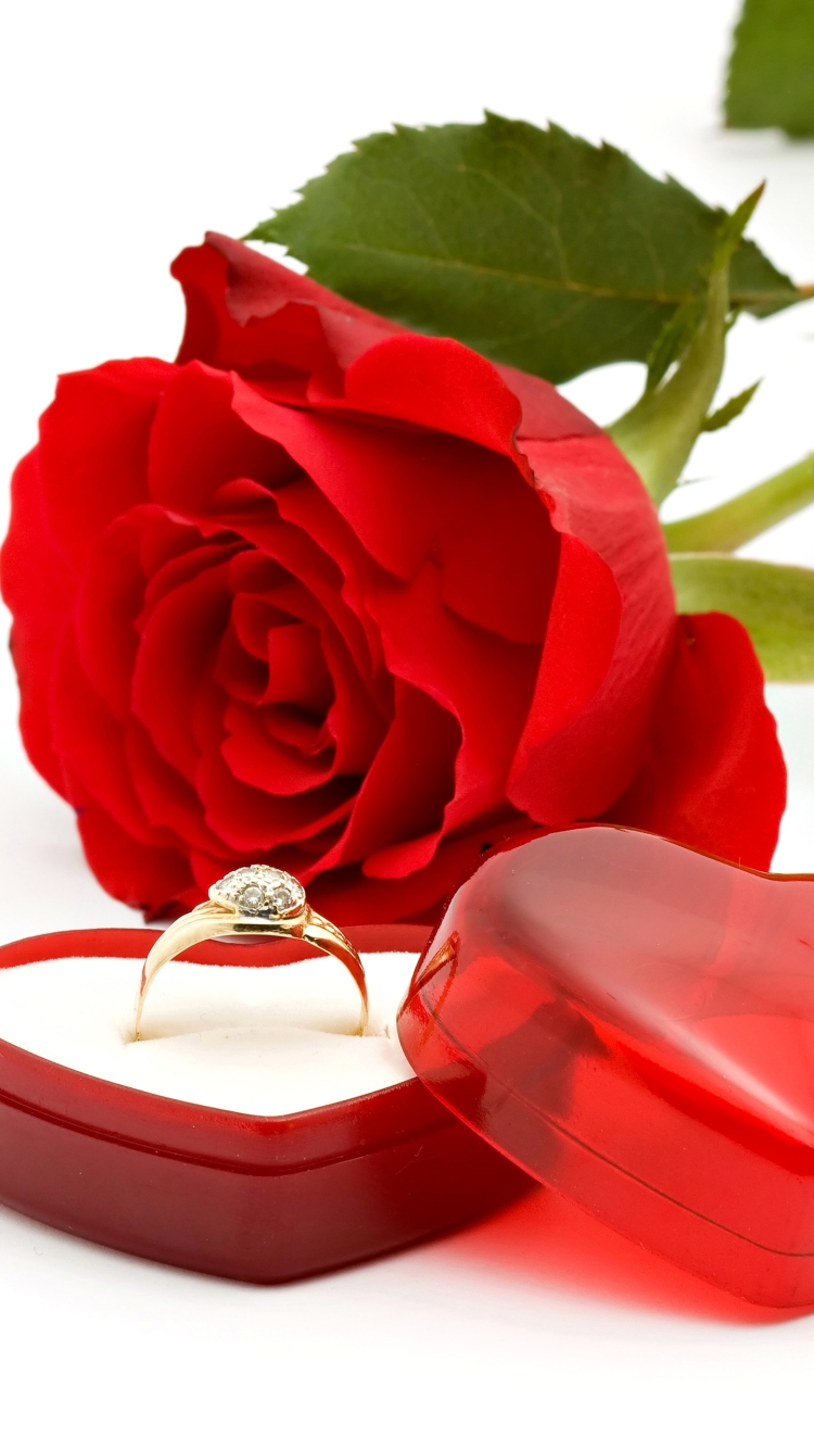 Download mobile wallpaper Love, Rose, Ring, Photography, Red Rose for free.