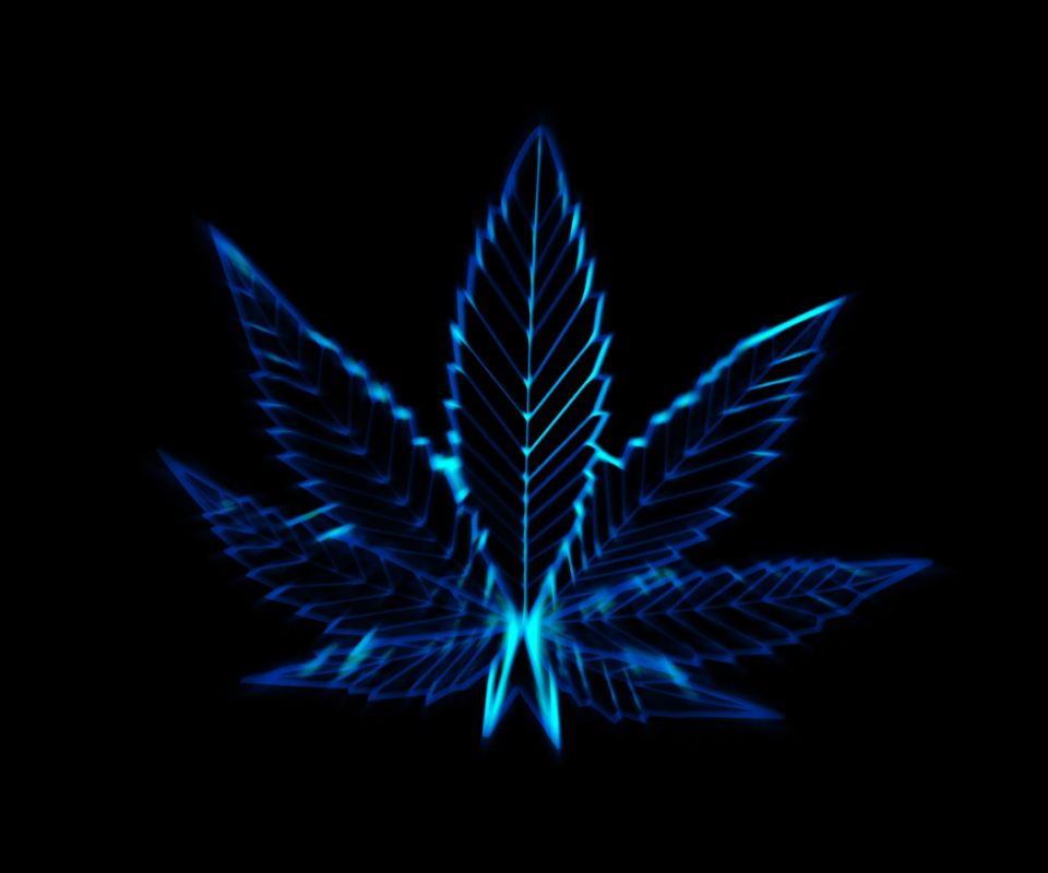 neon, marijuana, artistic, blue