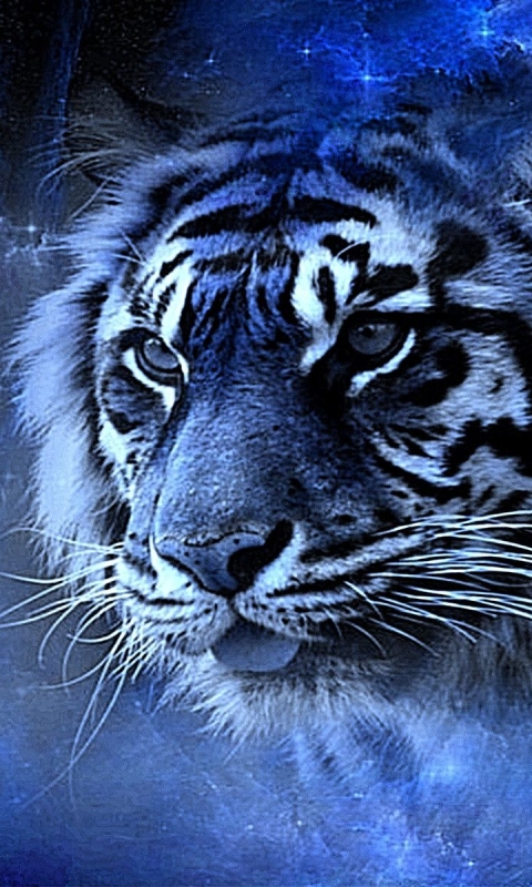 Download mobile wallpaper Cats, Close Up, Tiger, Animal, Face for free.