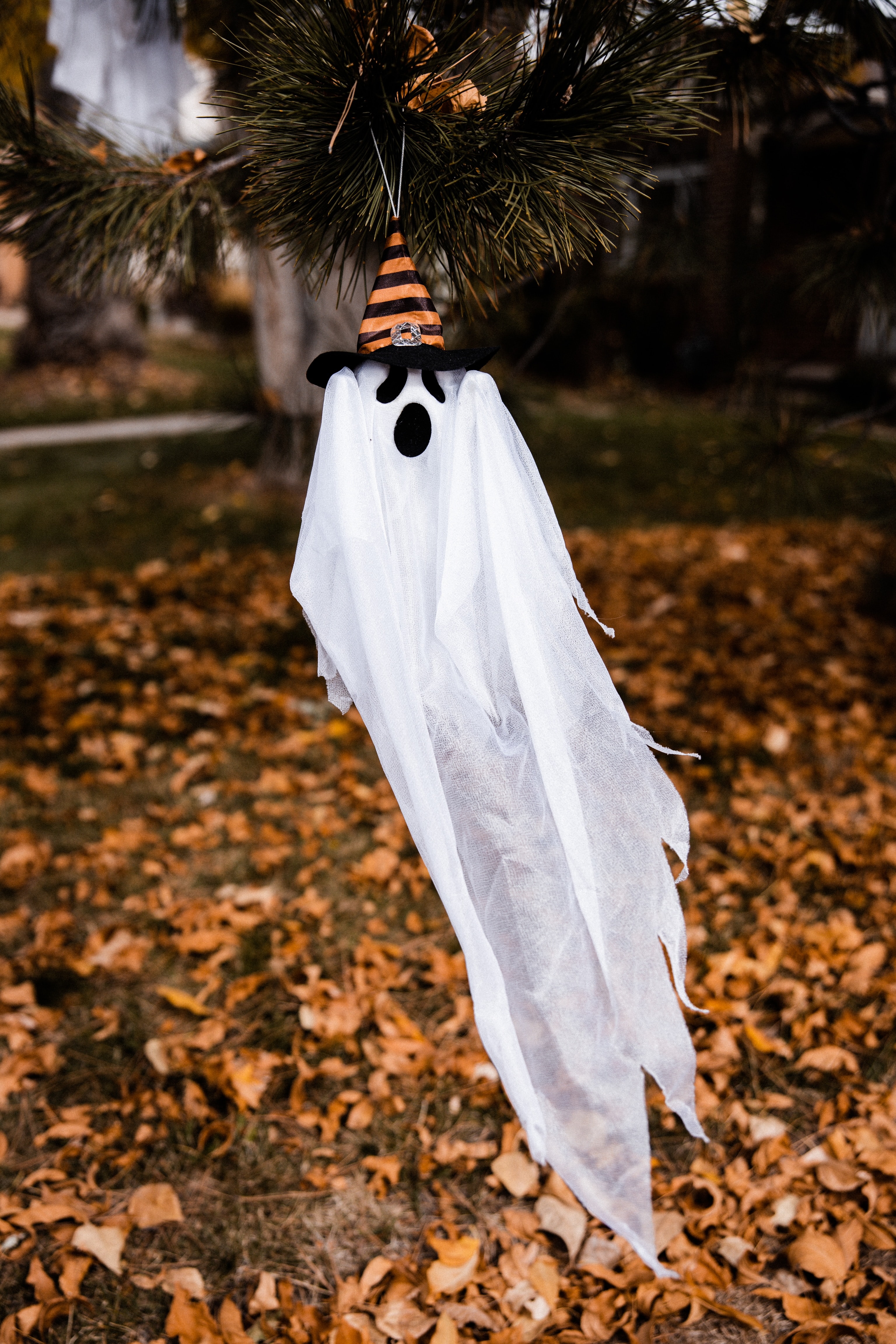 holidays, halloween, autumn, holiday, hat, ghost images