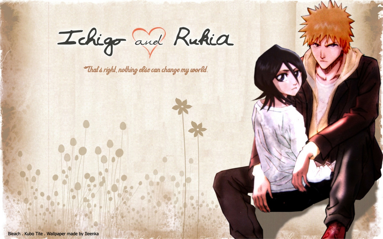 Laden Sie das Bleach, Rukia Kuchiki, Animes, Ichigo Kurosaki-Bild kostenlos auf Ihren PC-Desktop herunter