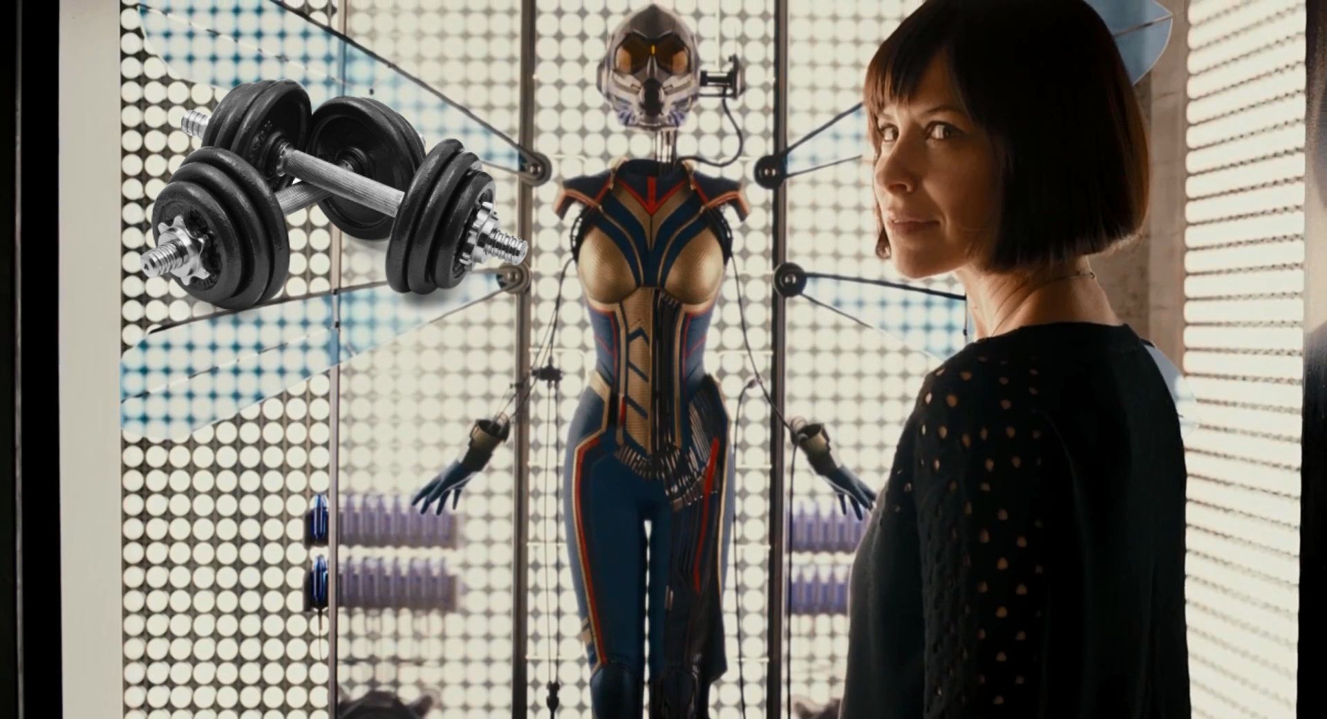 Free download wallpaper Movie, Evangeline Lilly, Ant Man on your PC desktop