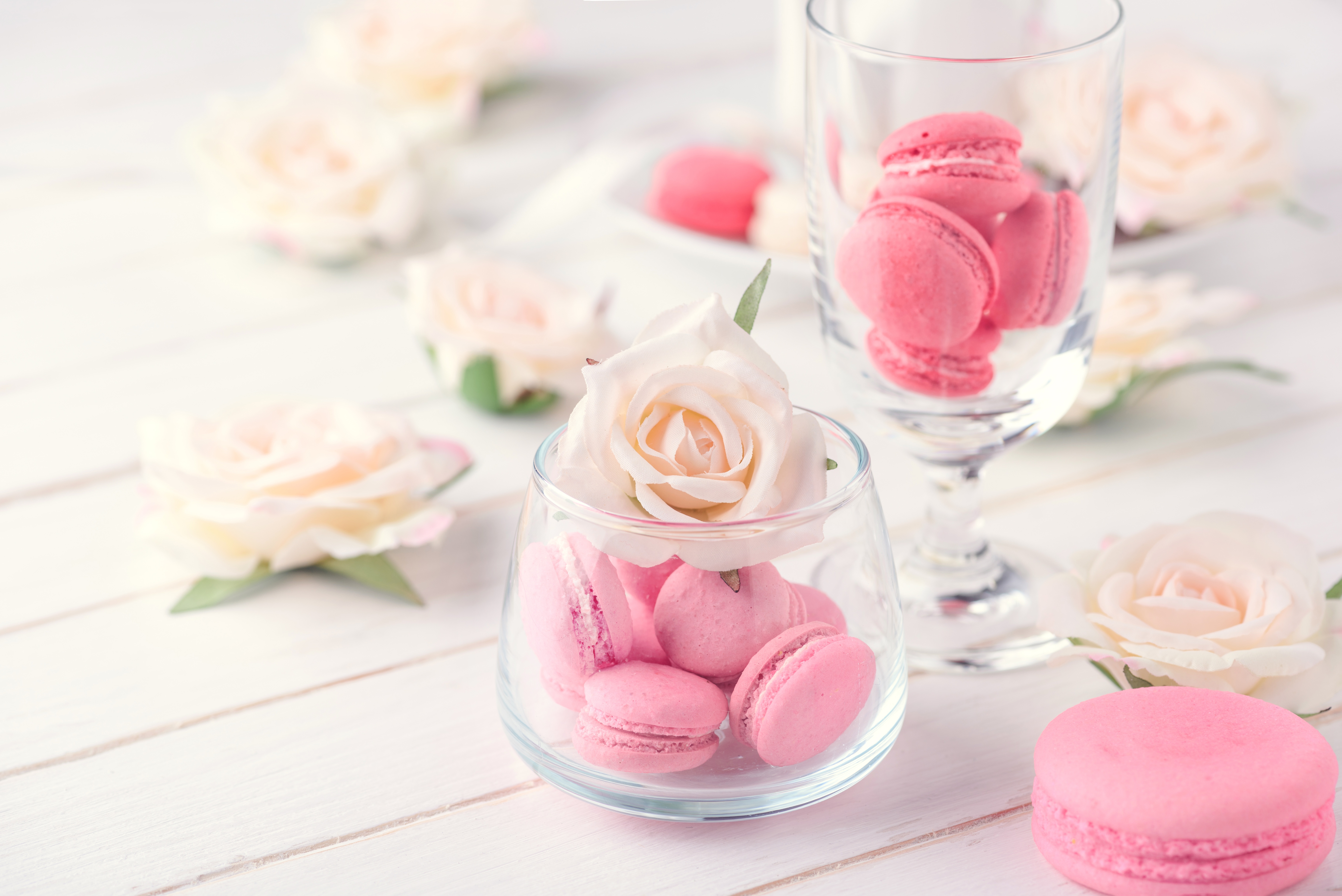 Download mobile wallpaper Food, Still Life, Flower, Rose, Macaron for free.