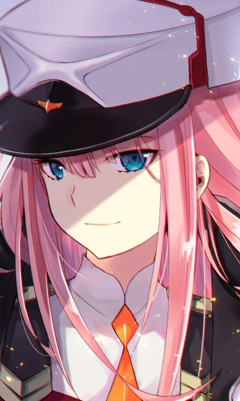 Handy-Wallpaper Animes, Darling In The Franxx, Zero Two (Liebling Im Franxx) kostenlos herunterladen.