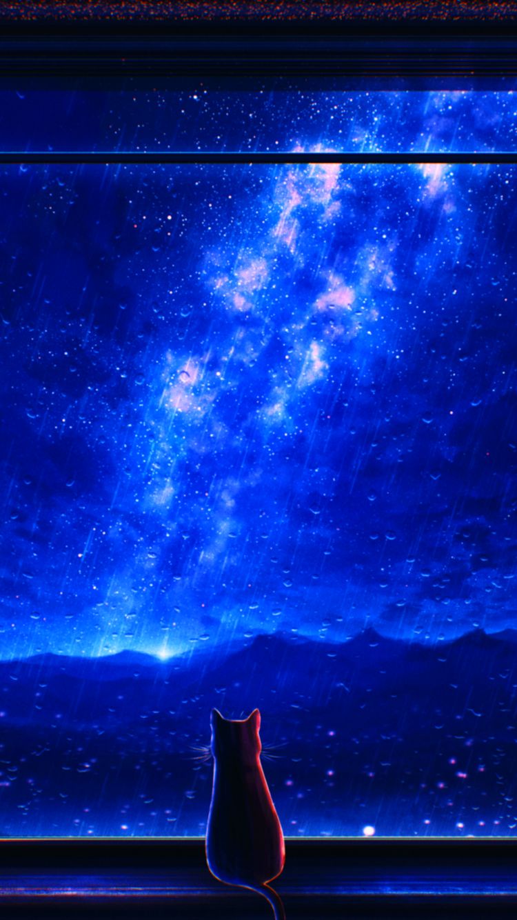 Download mobile wallpaper Anime, Sky, Rain, Night, Cat for free.