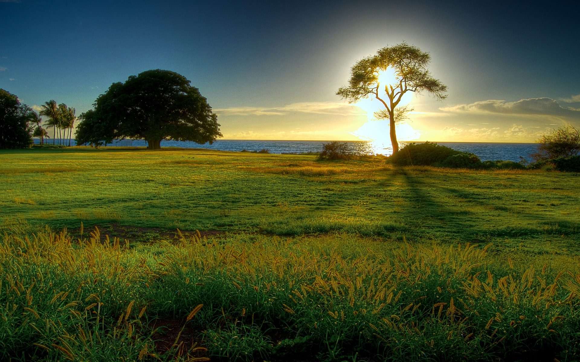 Free download wallpaper Sunrise, Earth on your PC desktop