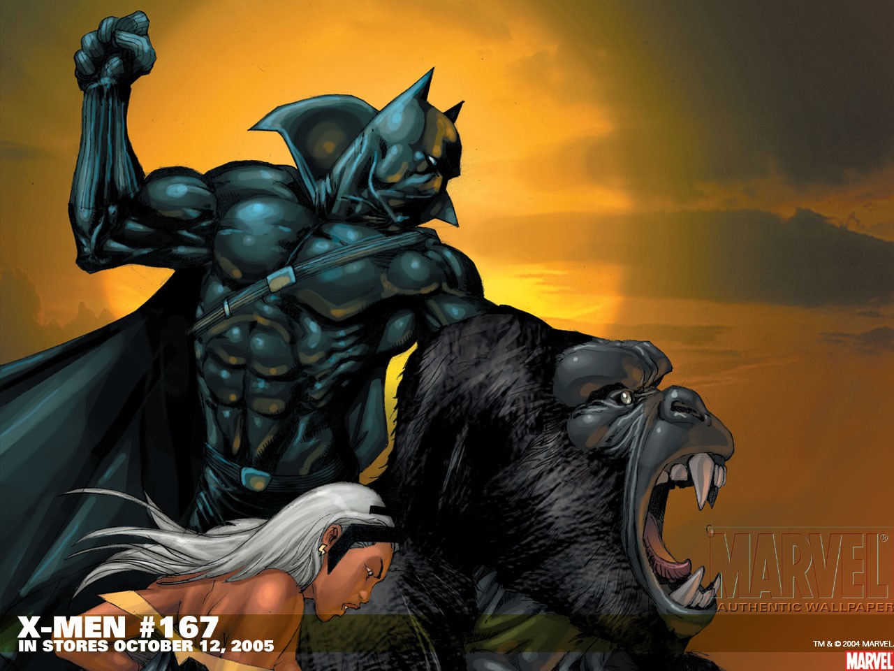 Laden Sie das X Men, Comics, Schwarzer Panther (Marvel Comics), Sturm (Marvel Comics)-Bild kostenlos auf Ihren PC-Desktop herunter