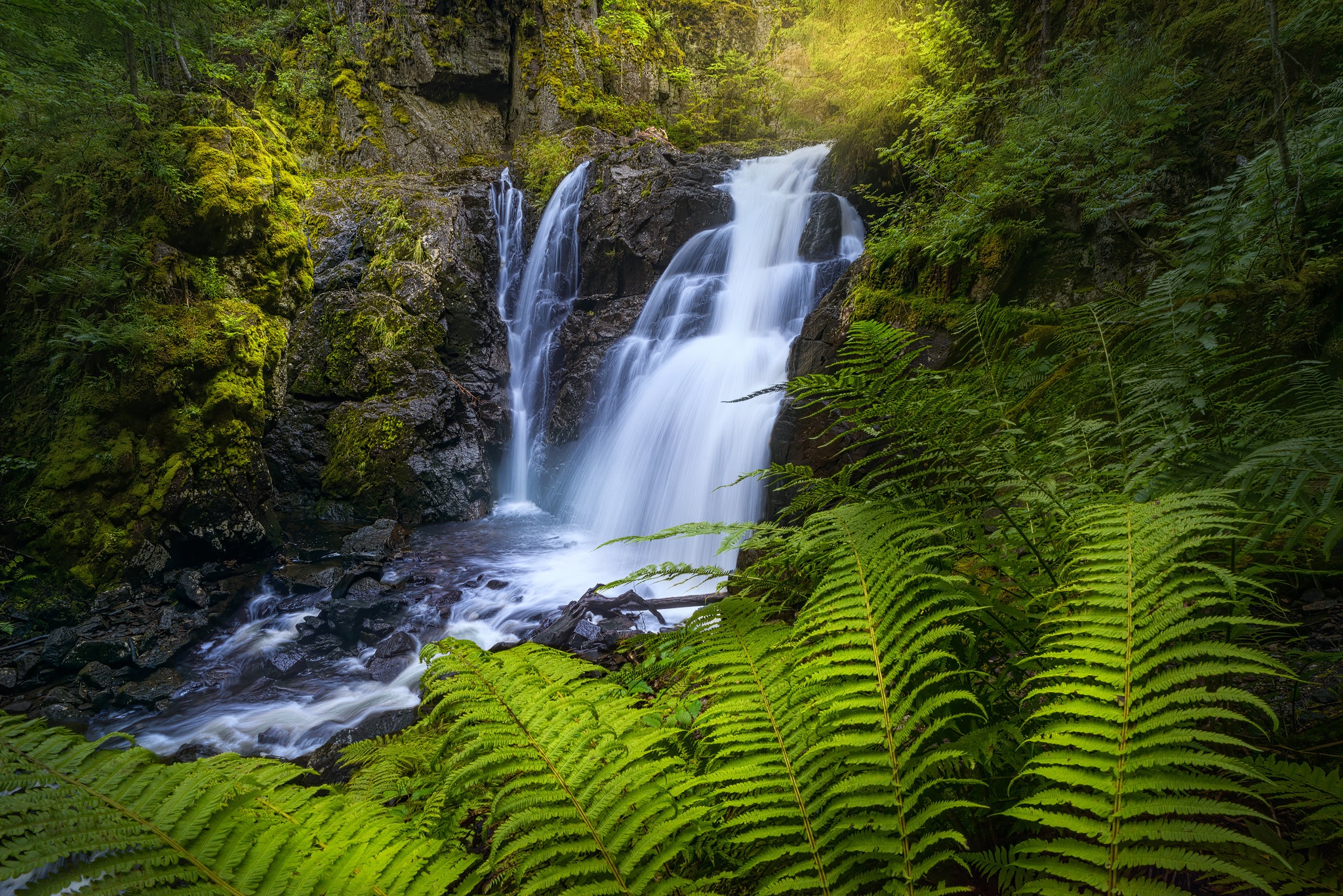 Laden Sie das Wasserfälle, Farne, Wasserfall, Norwegen, Erde/natur-Bild kostenlos auf Ihren PC-Desktop herunter
