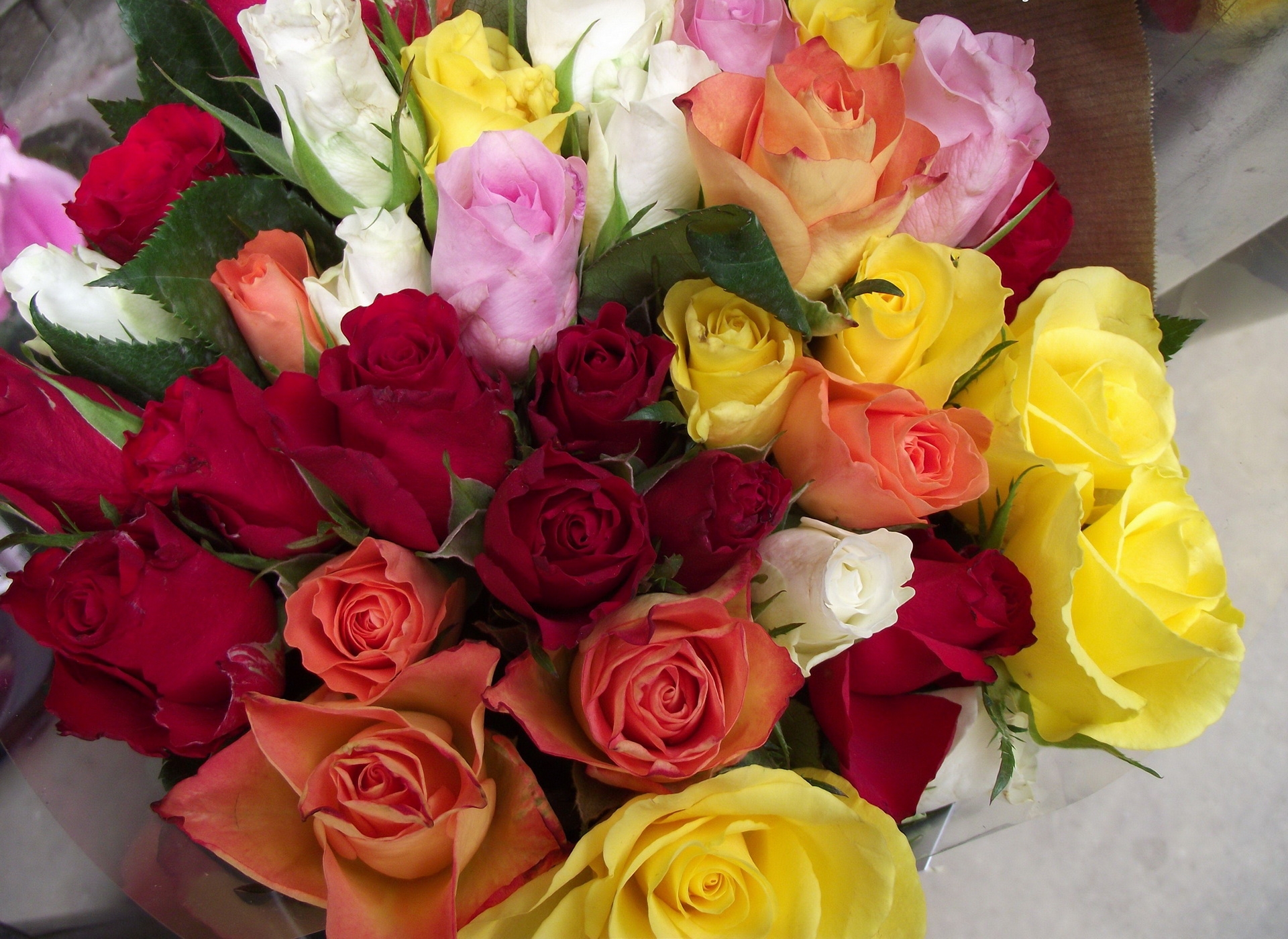flowers, roses, beauty, bouquet, different colors, different colours