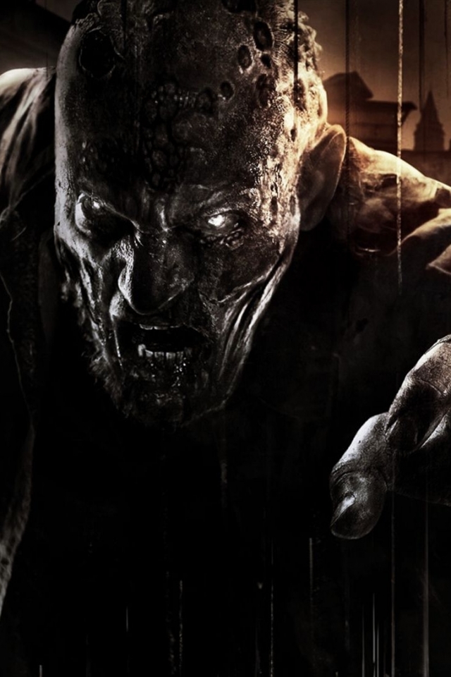 Download mobile wallpaper Video Game, Dying Light for free.