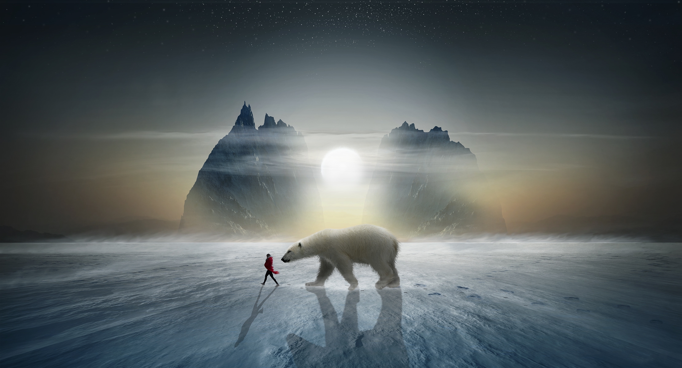 478982 descargar fondo de pantalla nieve, oso polar, animales, ártico, hielo, osos: protectores de pantalla e imágenes gratis