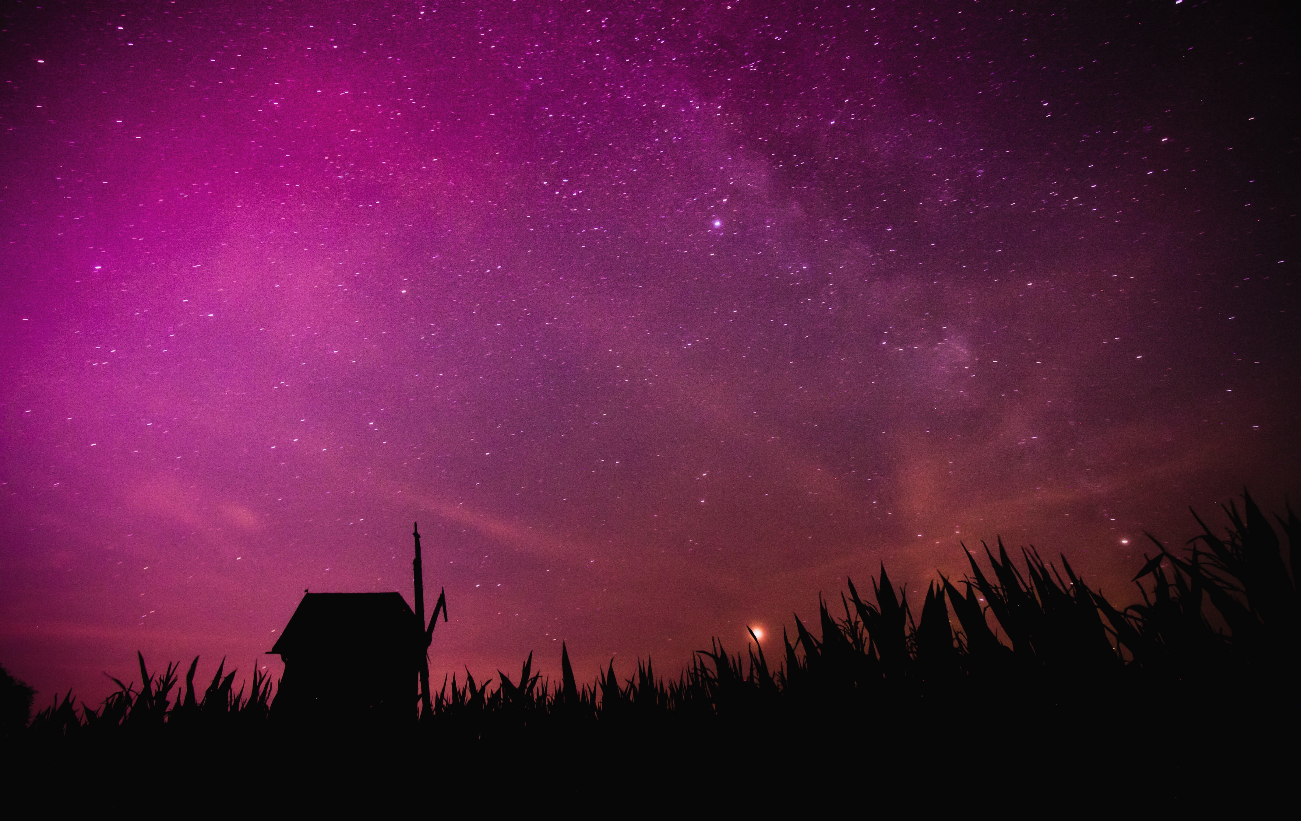 mill, nature, starry sky, outlines