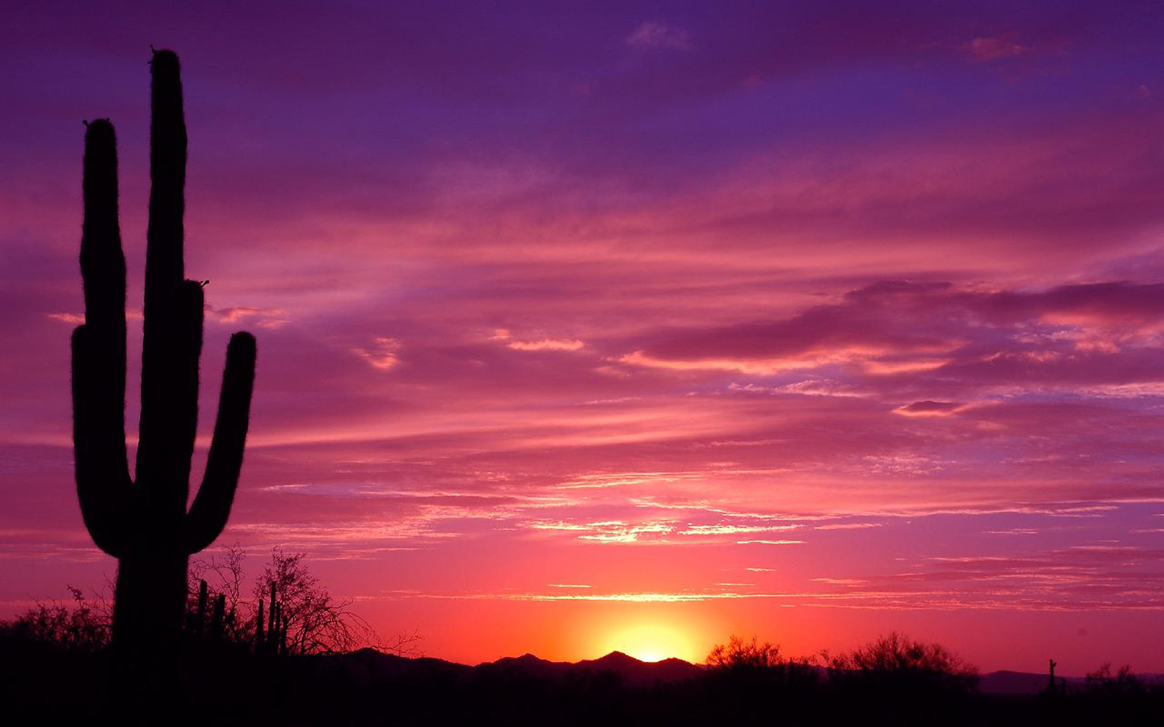 Handy-Wallpaper Wüste, Silhouette, Kaktus, Sonnenuntergang, Erde/natur kostenlos herunterladen.