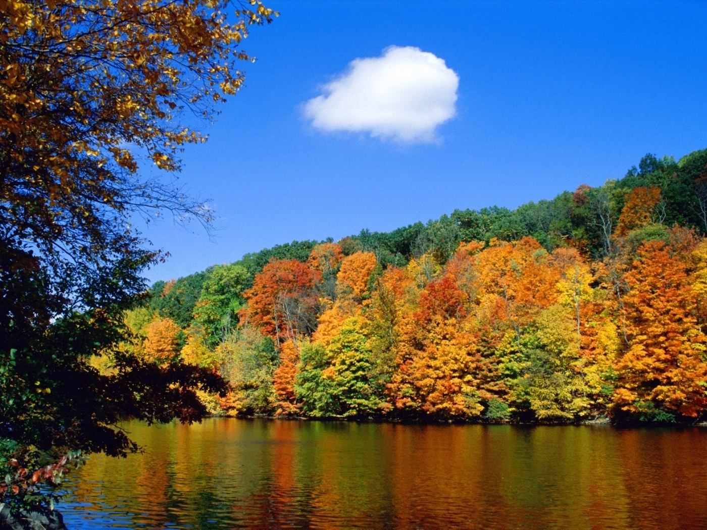 autumn, landscape, rivers