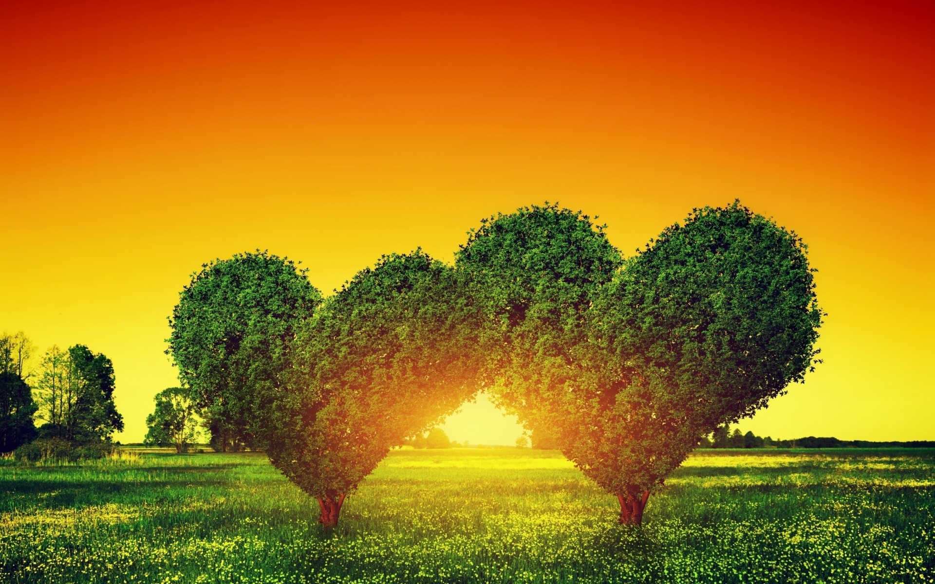 Free download wallpaper Sunset, Tree, Heart, Photography, Manipulation on your PC desktop