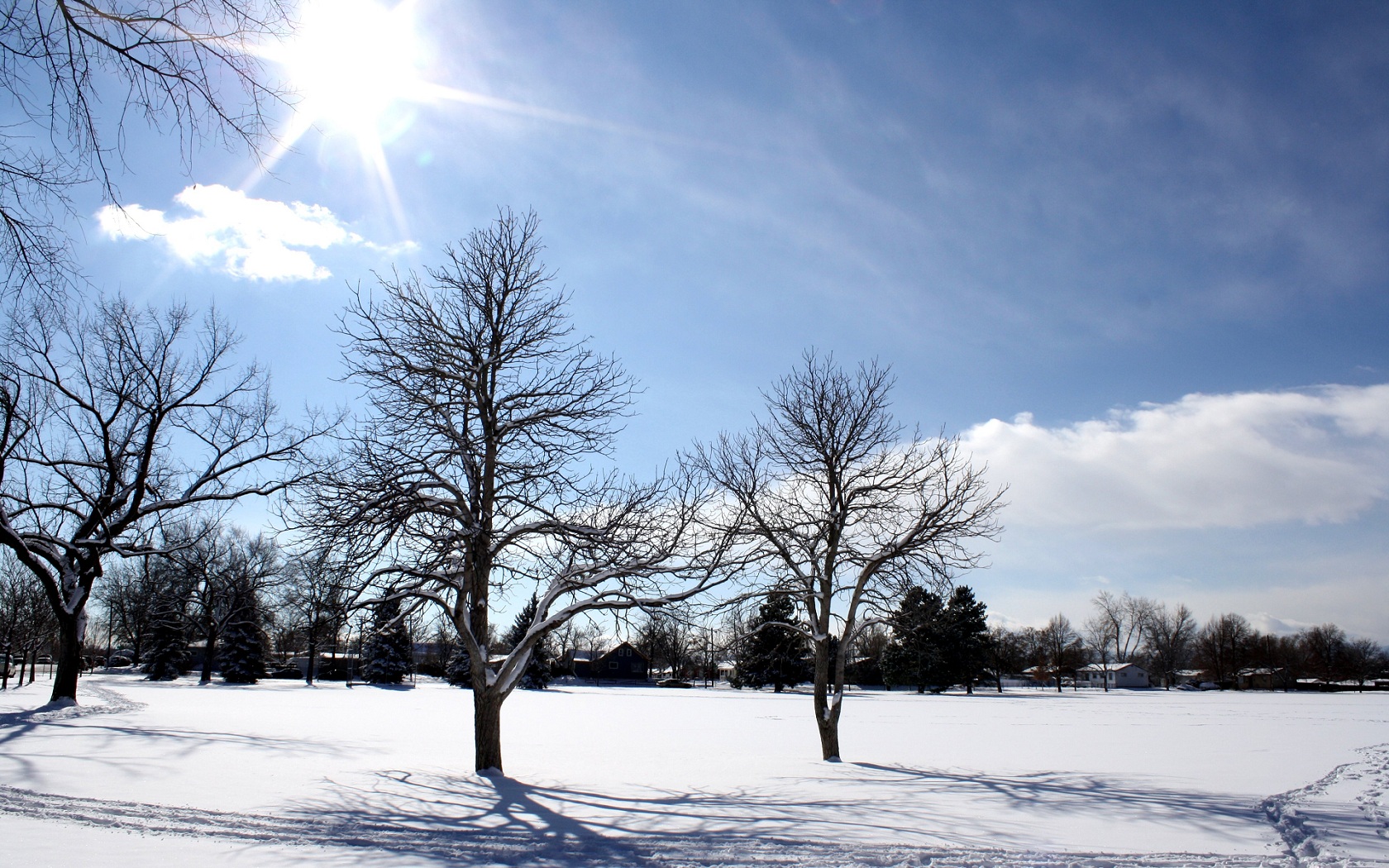 Скачать картинку Зима, Снег, Дерево, Солнечный Луч, Земля/природа в телефон бесплатно.