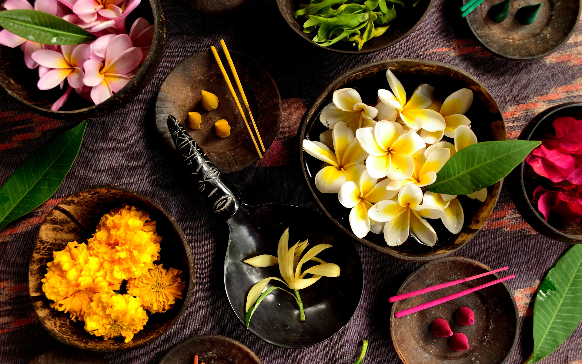 Laden Sie das Blume, Fotografie, Orientalisch, Stillleben-Bild kostenlos auf Ihren PC-Desktop herunter