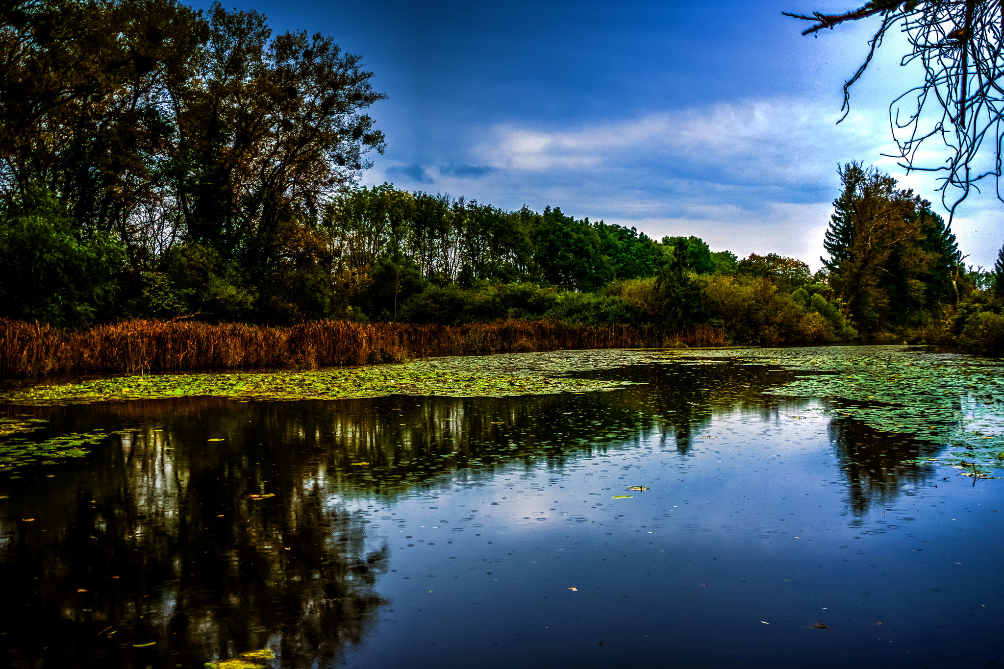 Free download wallpaper Nature, Lake, Reflection, Earth on your PC desktop