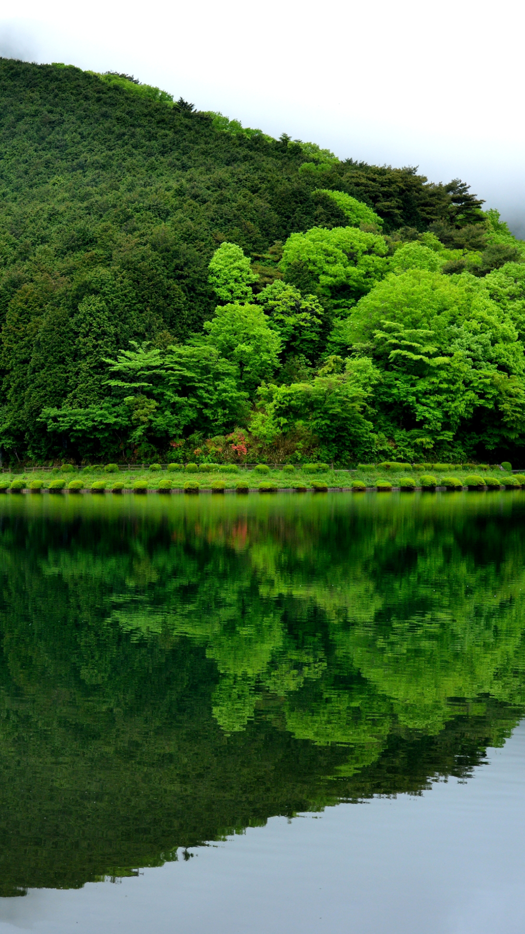 Download mobile wallpaper Nature, Reflection, Forest, Fog, Earth, Hill for free.