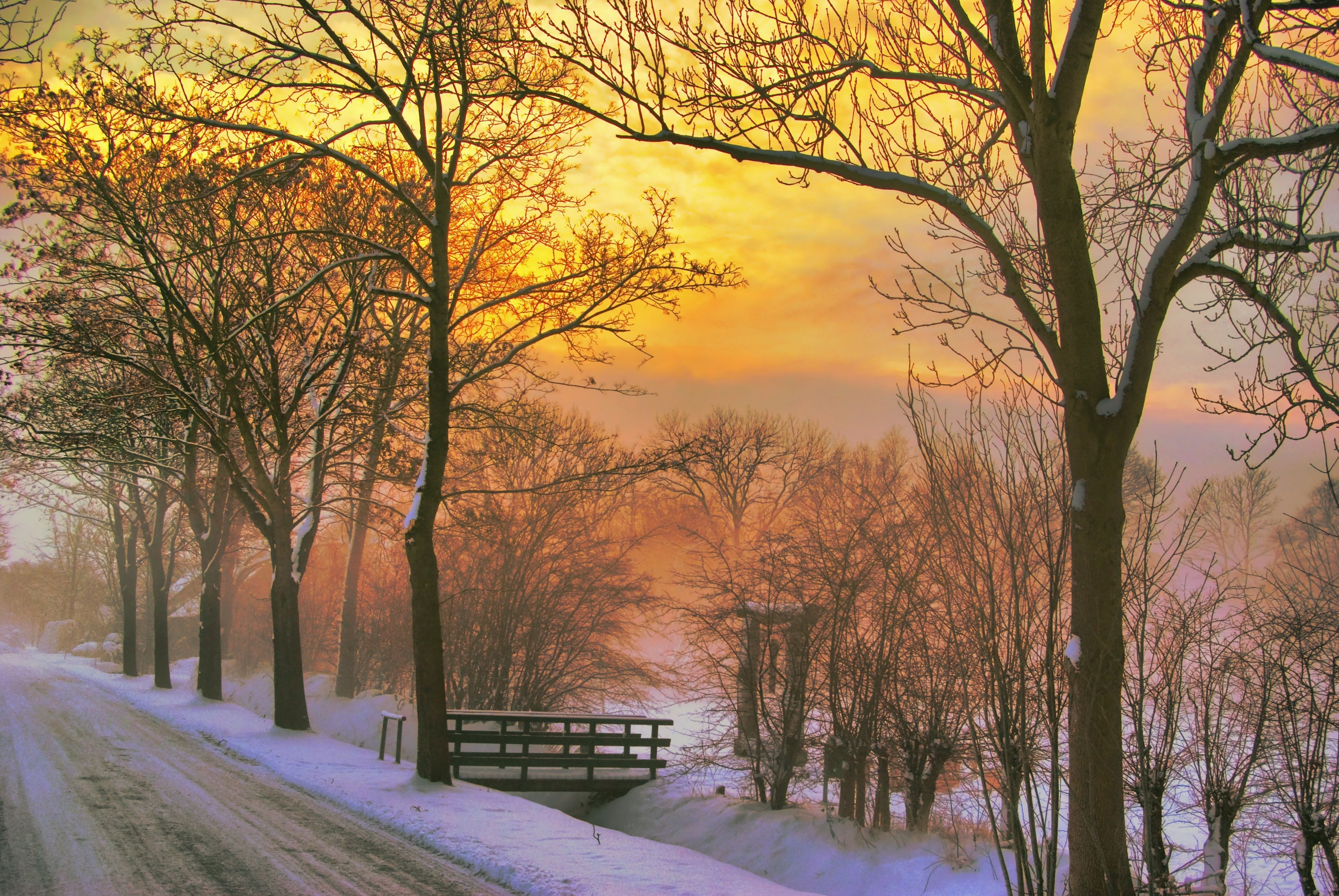 PCデスクトップに冬, 木, 日没, 雪, 湖, 道, 地球, 写真撮影画像を無料でダウンロード