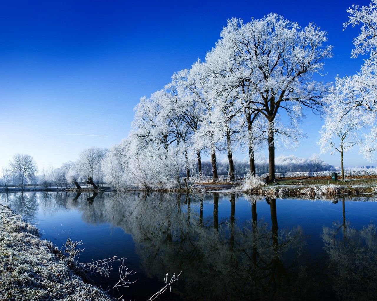 Скачать картинку Отражение, Деревья, Река, Природа, Иней, Зима в телефон бесплатно.