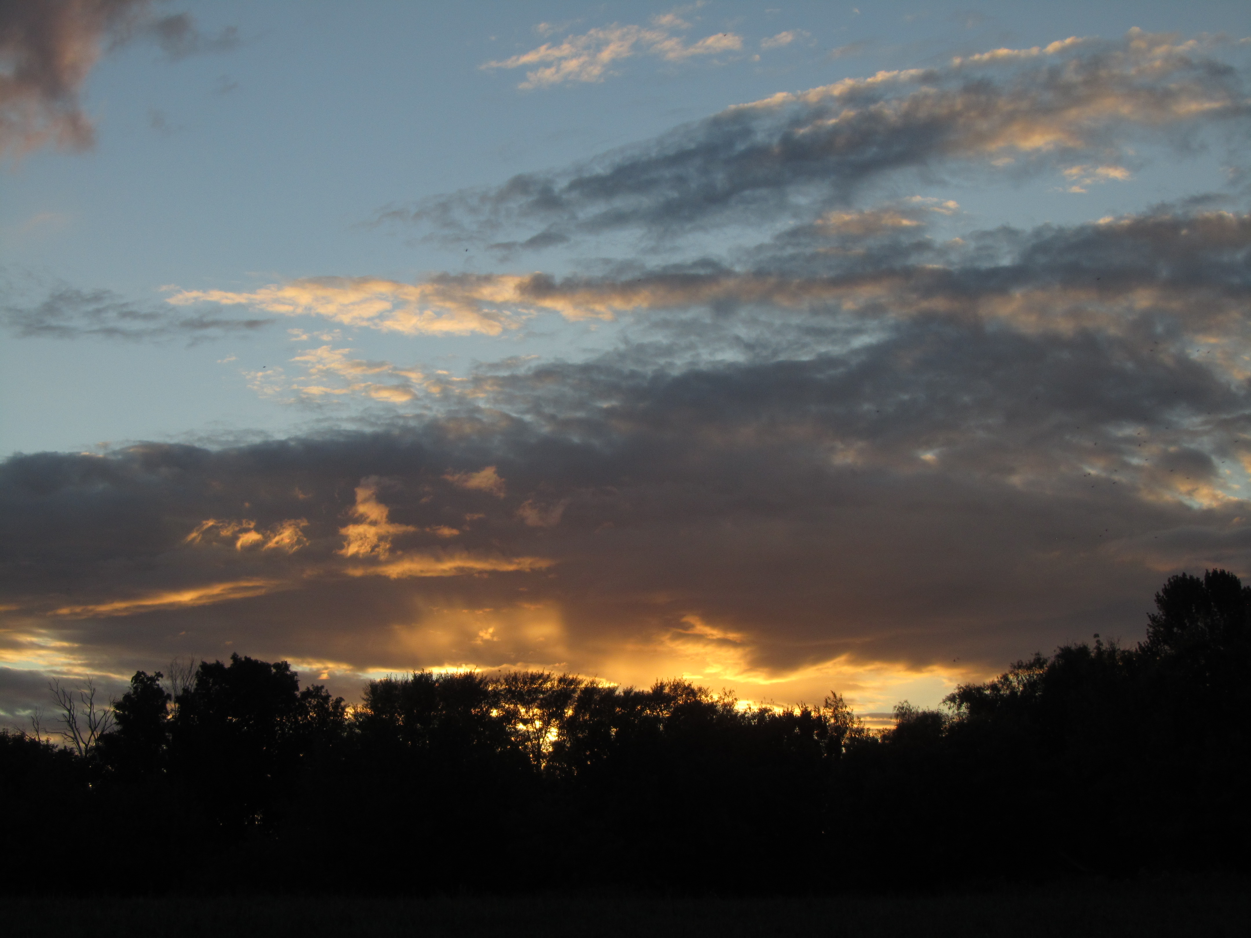 Descarga gratis la imagen Nube, Tierra/naturaleza en el escritorio de tu PC