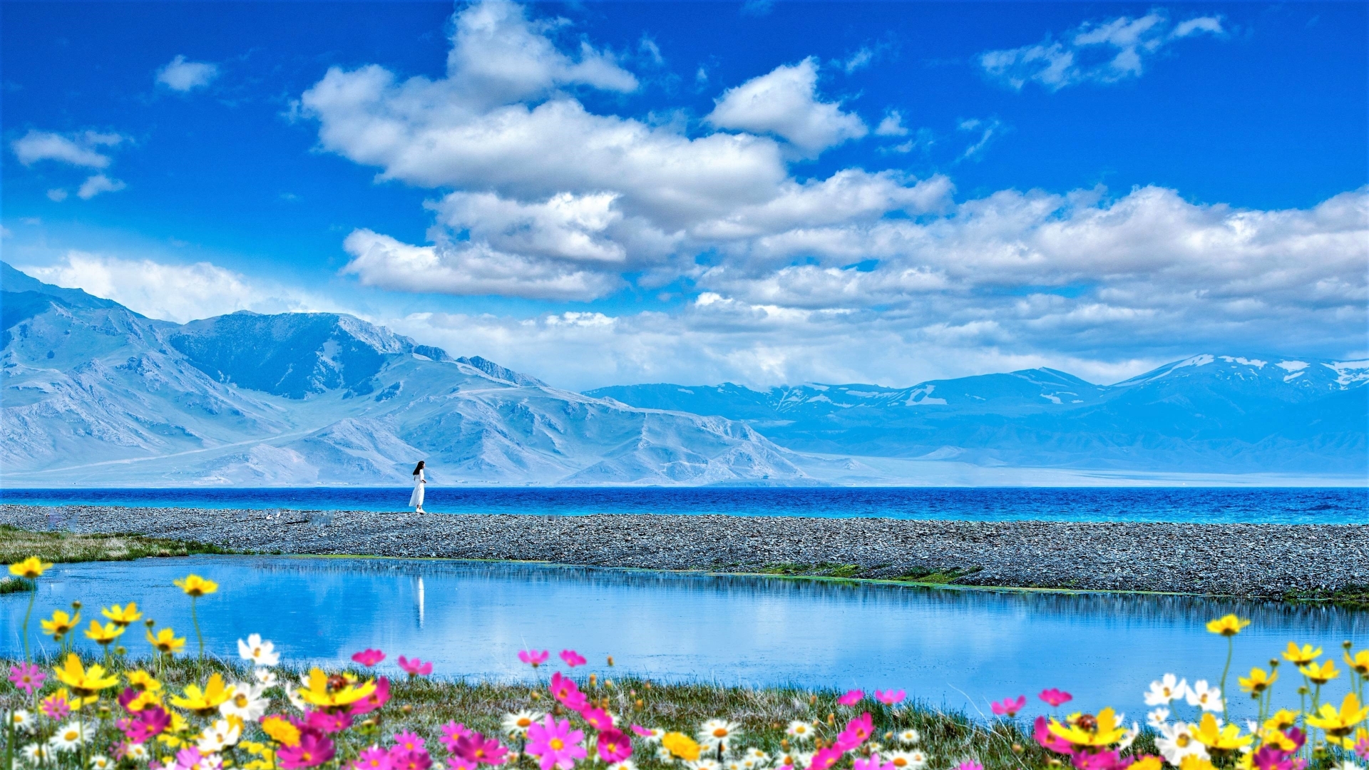 Скачать картинку Пейзаж, Небо, Гора, Озеро, Цветок, Земля, Фотографии в телефон бесплатно.