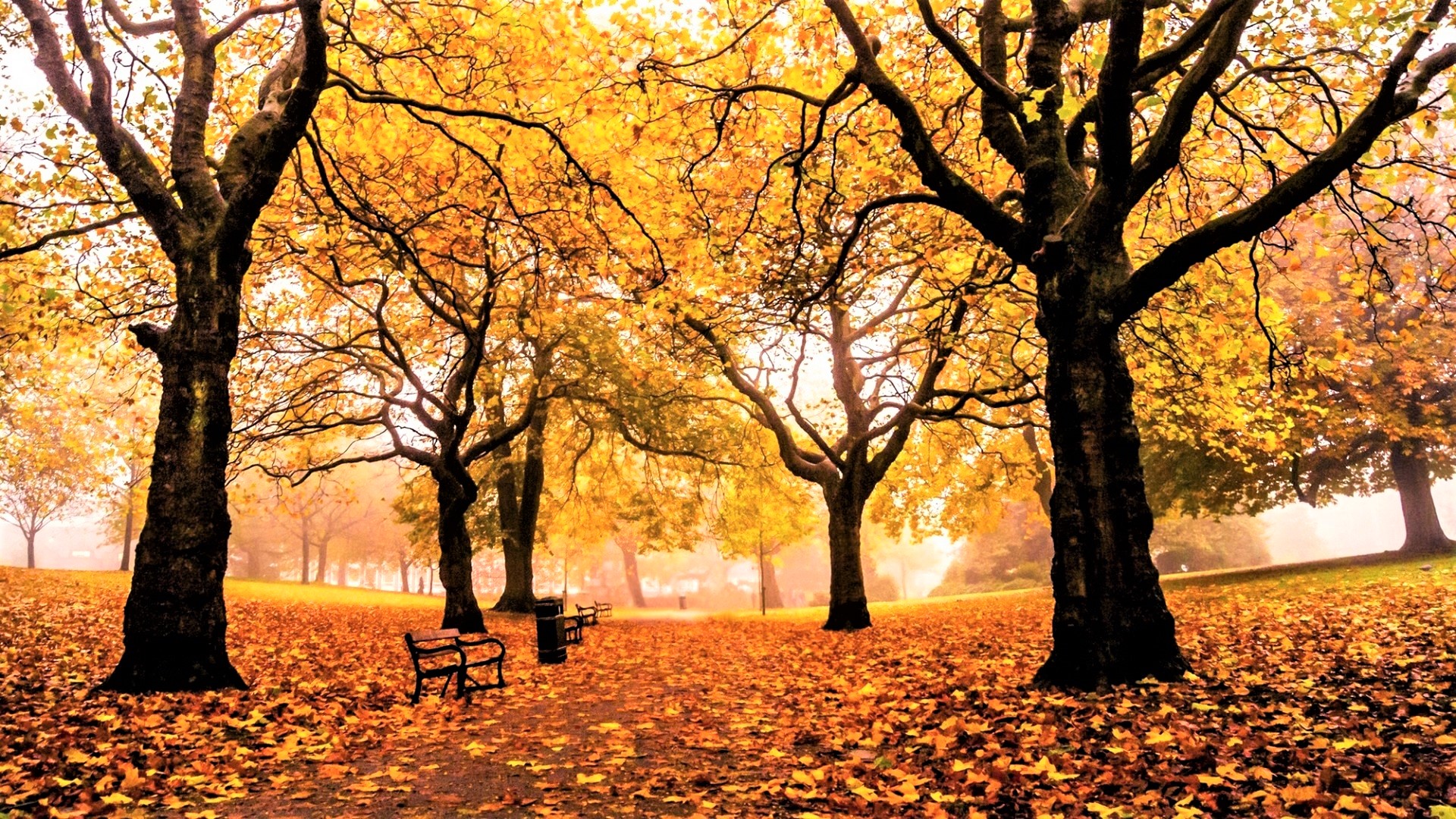 Handy-Wallpaper Herbst, Bank, Park, Baum, Fotografie kostenlos herunterladen.