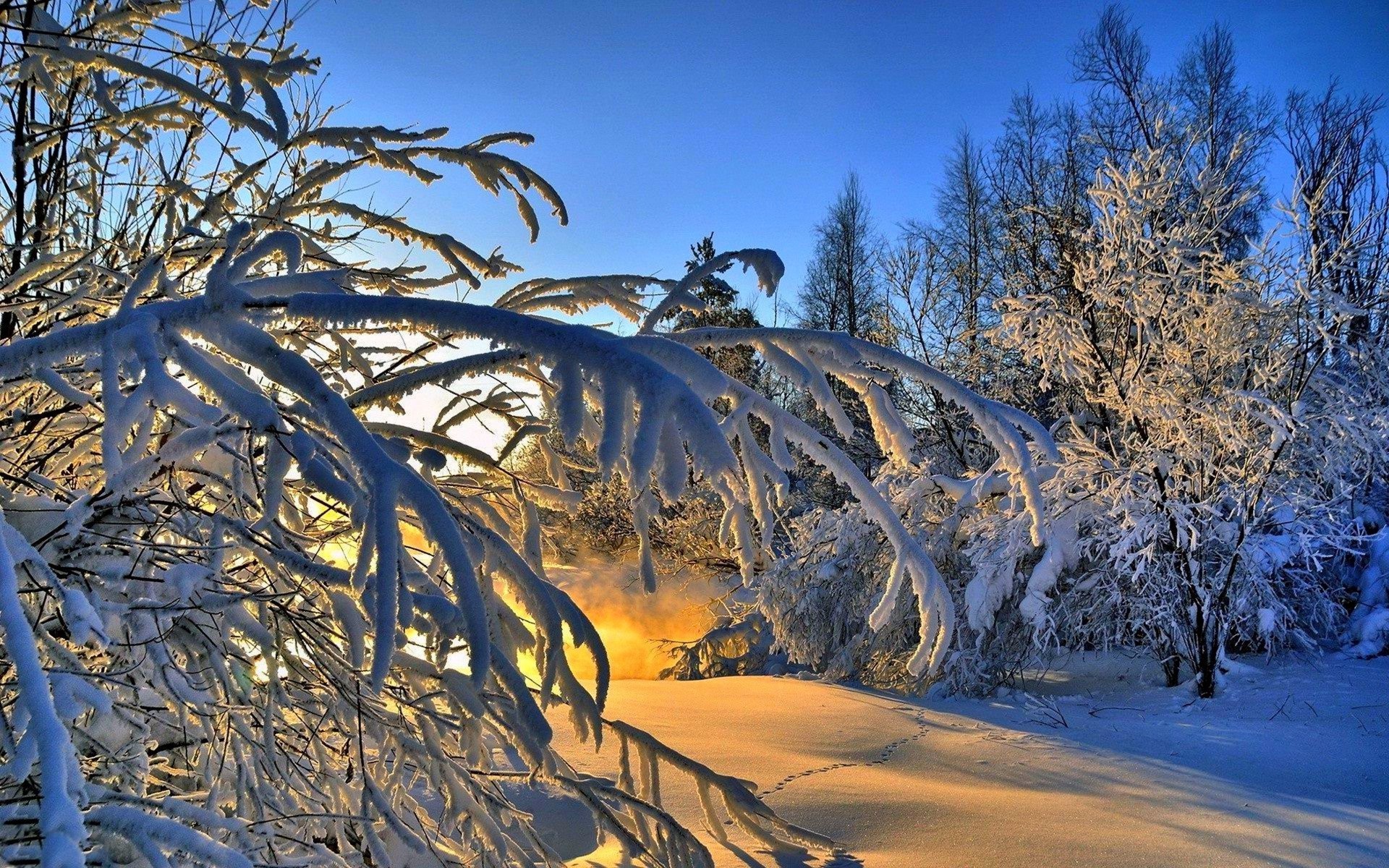 Скачать картинку Зима, Закат, Снег, Дерево, Ветка, Земля/природа в телефон бесплатно.