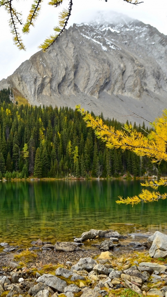 Скачать картинку Осень, Озера, Гора, Озеро, Канада, Лес, Альберта, Падать, Земля/природа в телефон бесплатно.